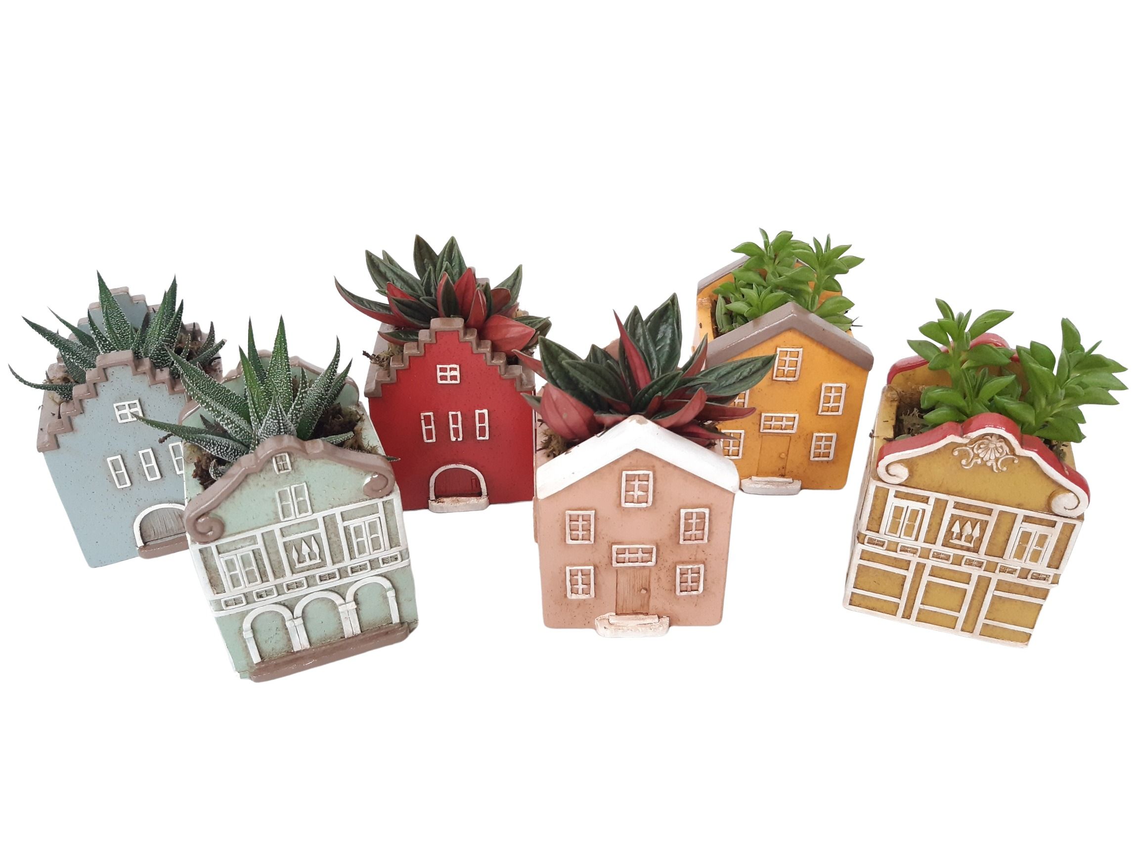 CASA S8 Casa Scandinavian Klein, D 8