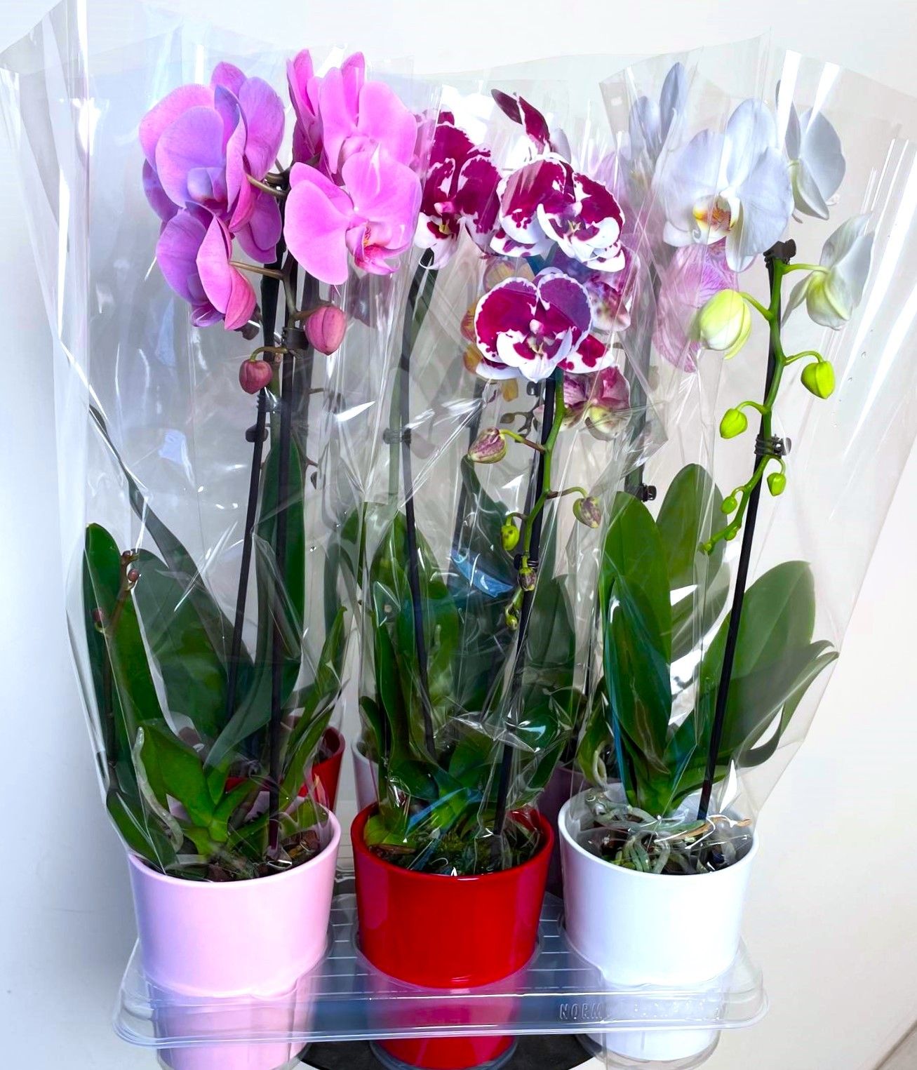 Cascade 1 tak in keramiek, D 12