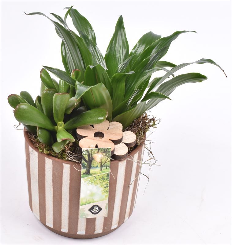 Keramiek safari look 14cm, D 14