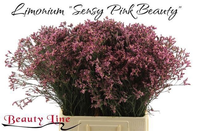 Лимониум Сенси Пинк Бьюти 70, шт.