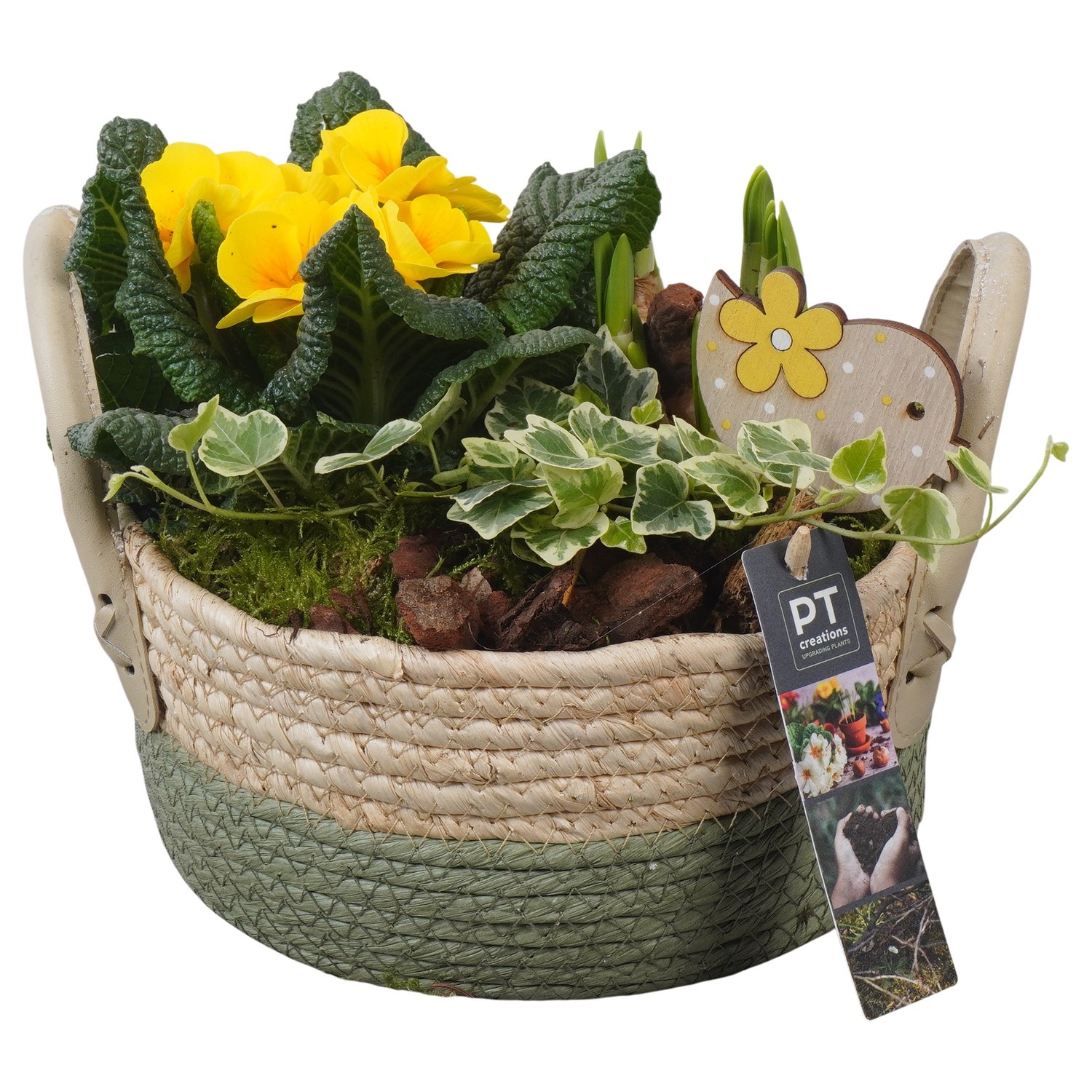 PTBM3824 Arrangement Flower Bulbs Mix in rieten mand, D 21