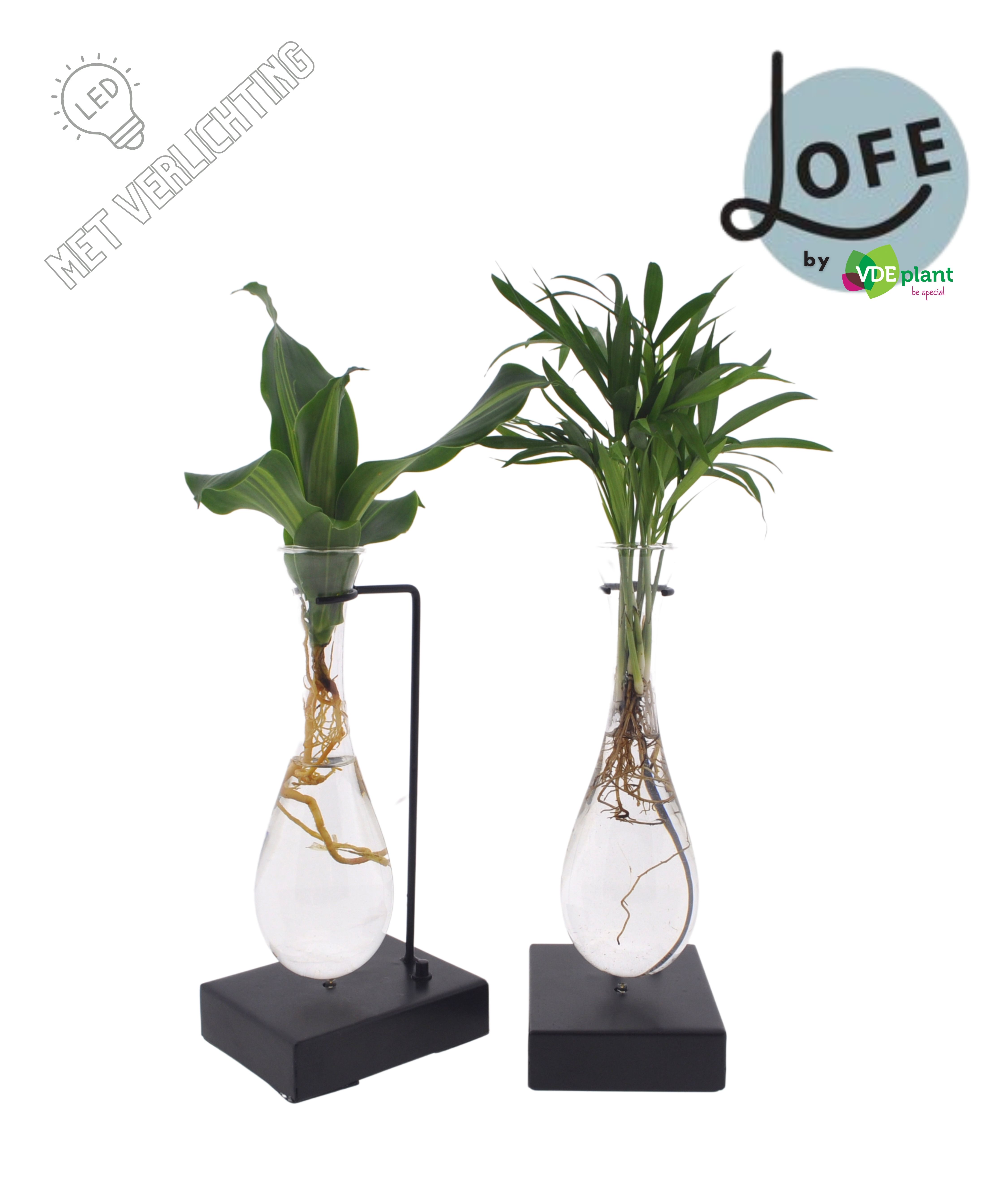 LOFE |Intenz mix in Hang glas Metaal - levertijd: 24 uur, D 12