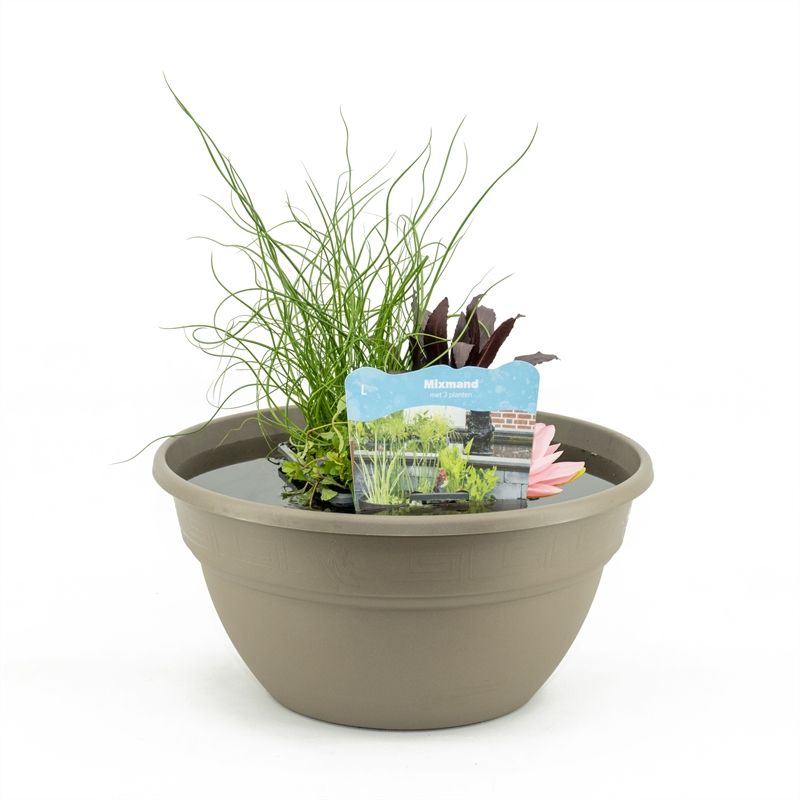 Terrasschaal Taupe met mixmand, D 40