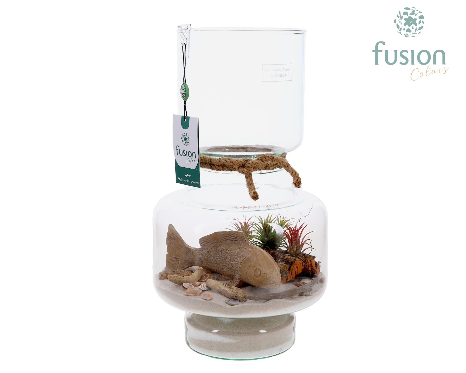 Green Bottle Lotte Large met Maritiem arrangement, D 22