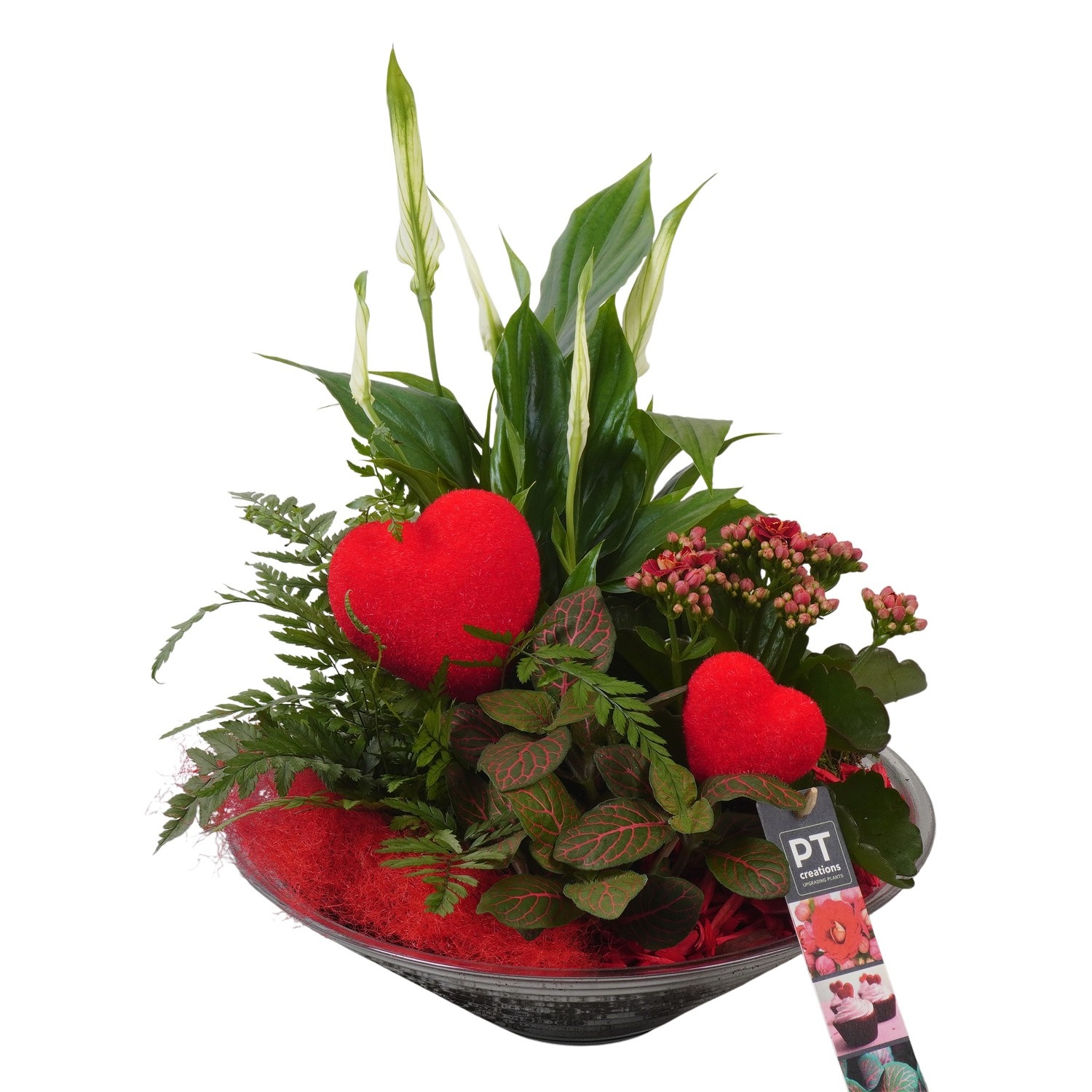 PTVMG4975 Arrangement Valentines-Mothersday in glas schaal, D 26