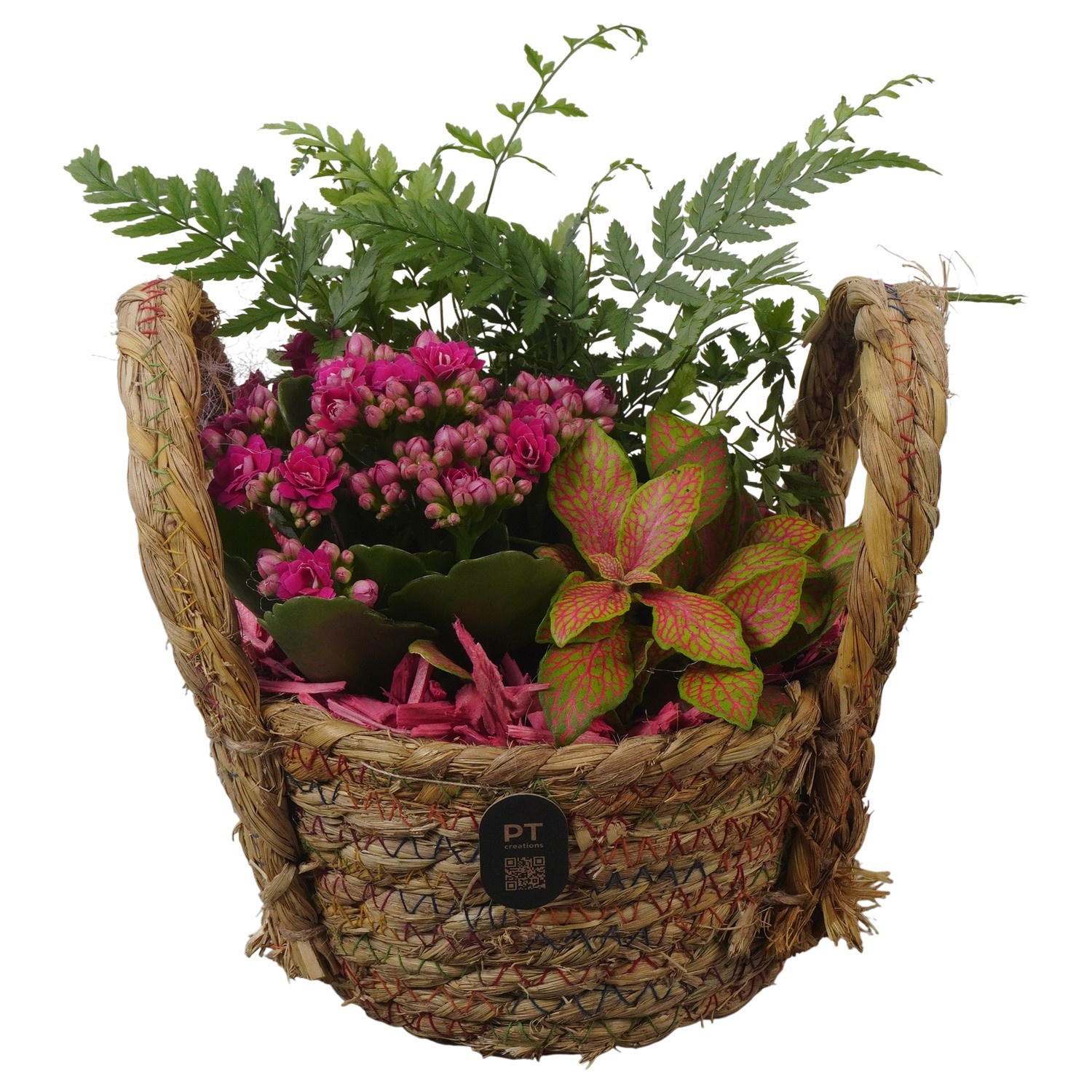 PTIB5215 Arrangement Indoor in rieten mand, D 15