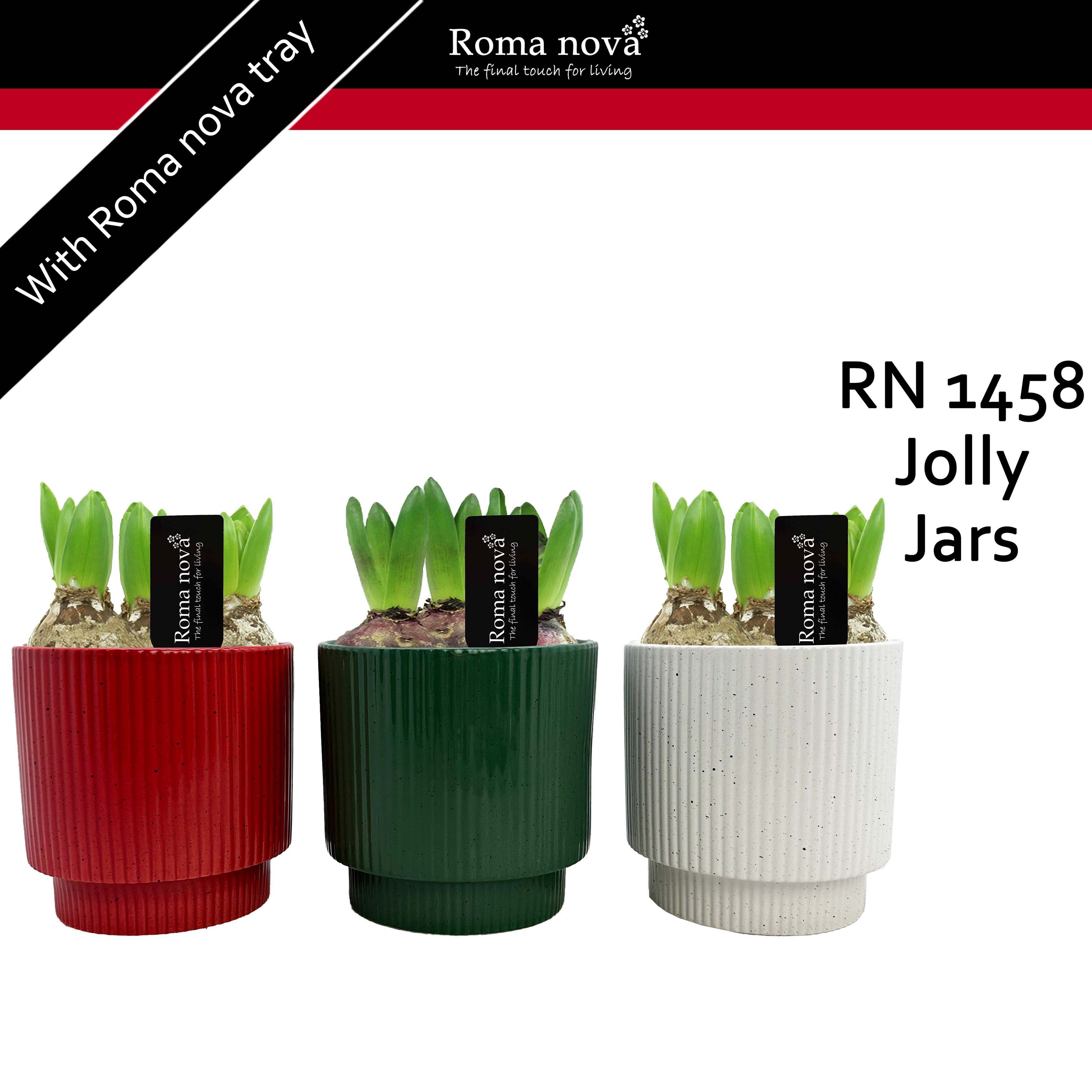 1458 - Jolly Jars (Hyacint), D 12