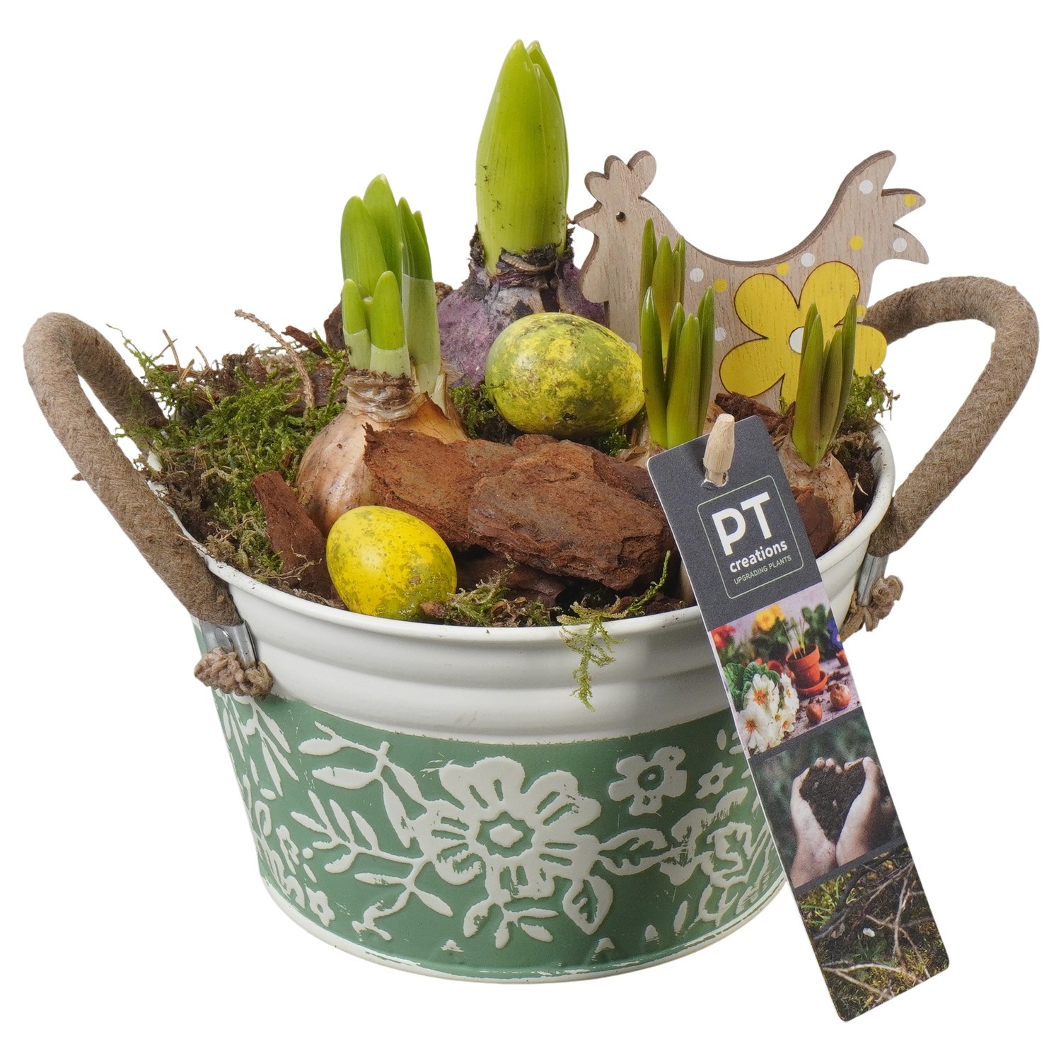 PTBMP5650 Arrangement Easter Bulbs Mix in zink pot, D 15