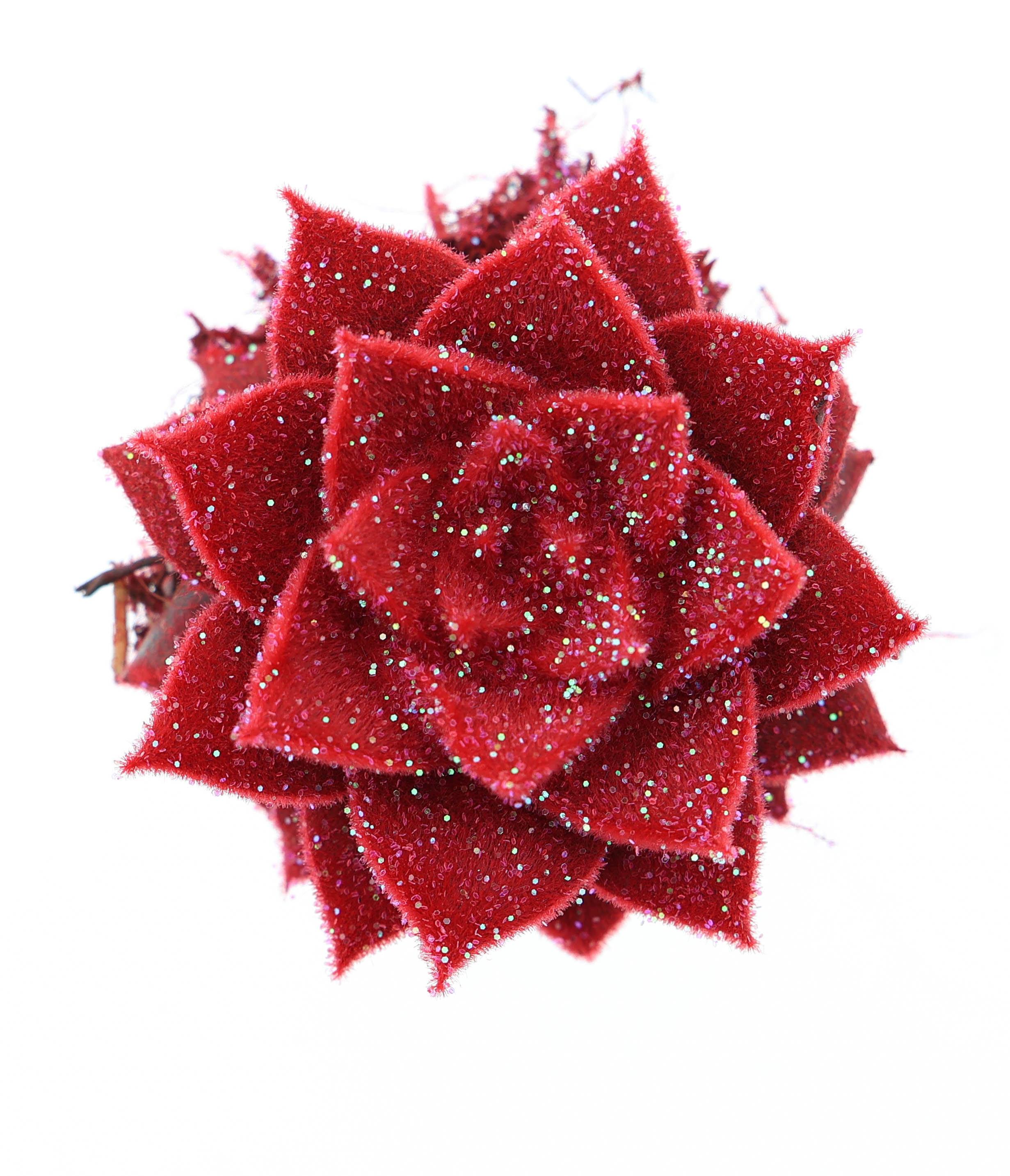 Velvet purper rood + glitter, D 5,5