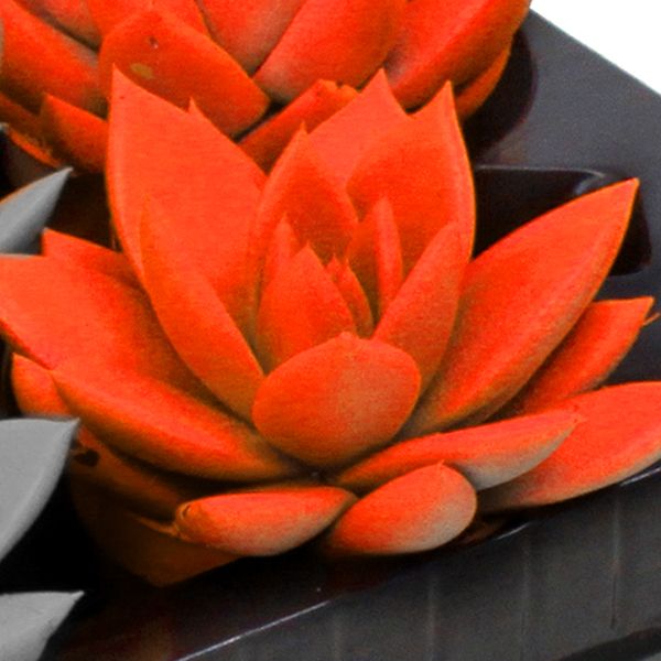 Miranda coloured neon orange, D 6