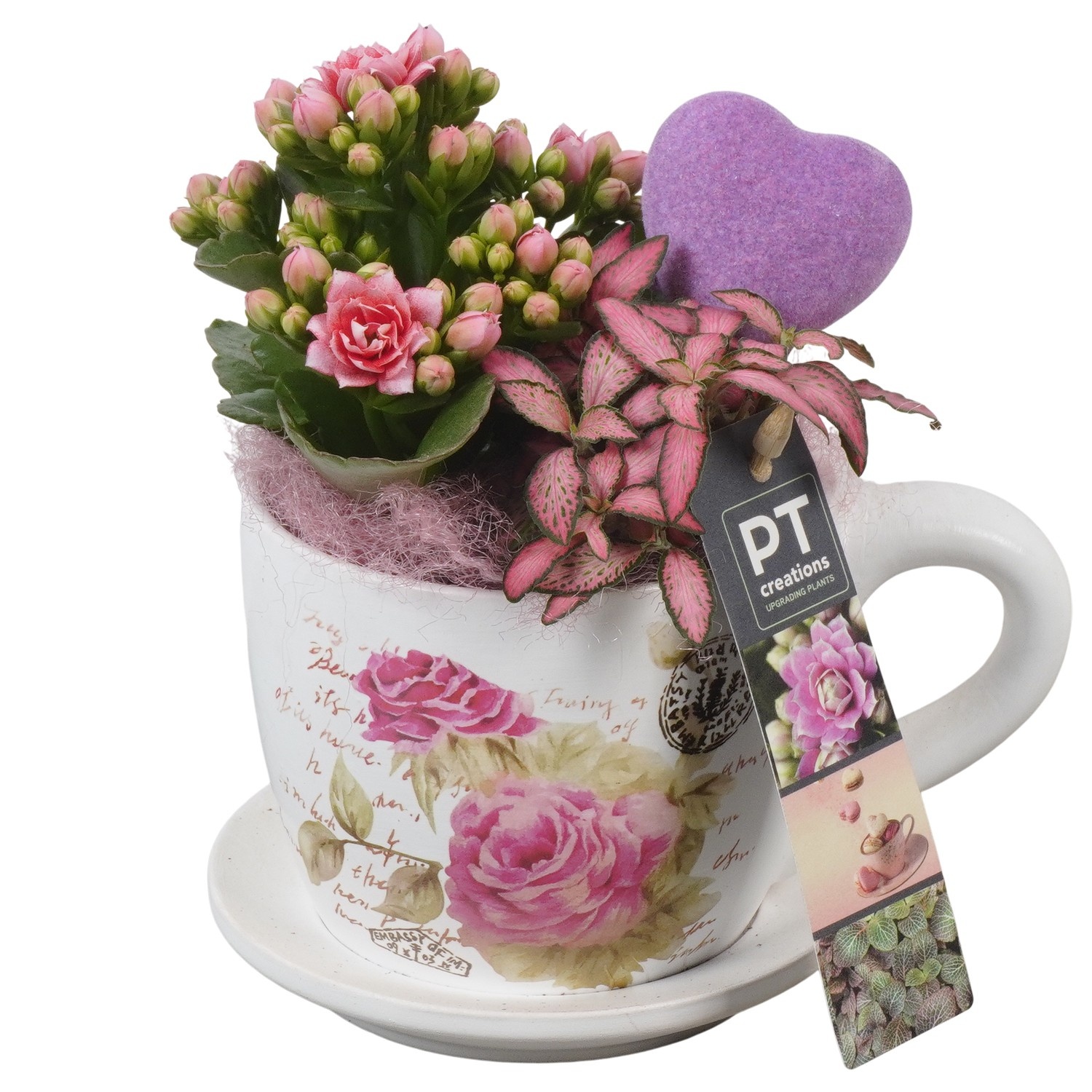 PTVMB2263 Arrangement Valentines-Mothersday in keramiek kop en schotel, D 11