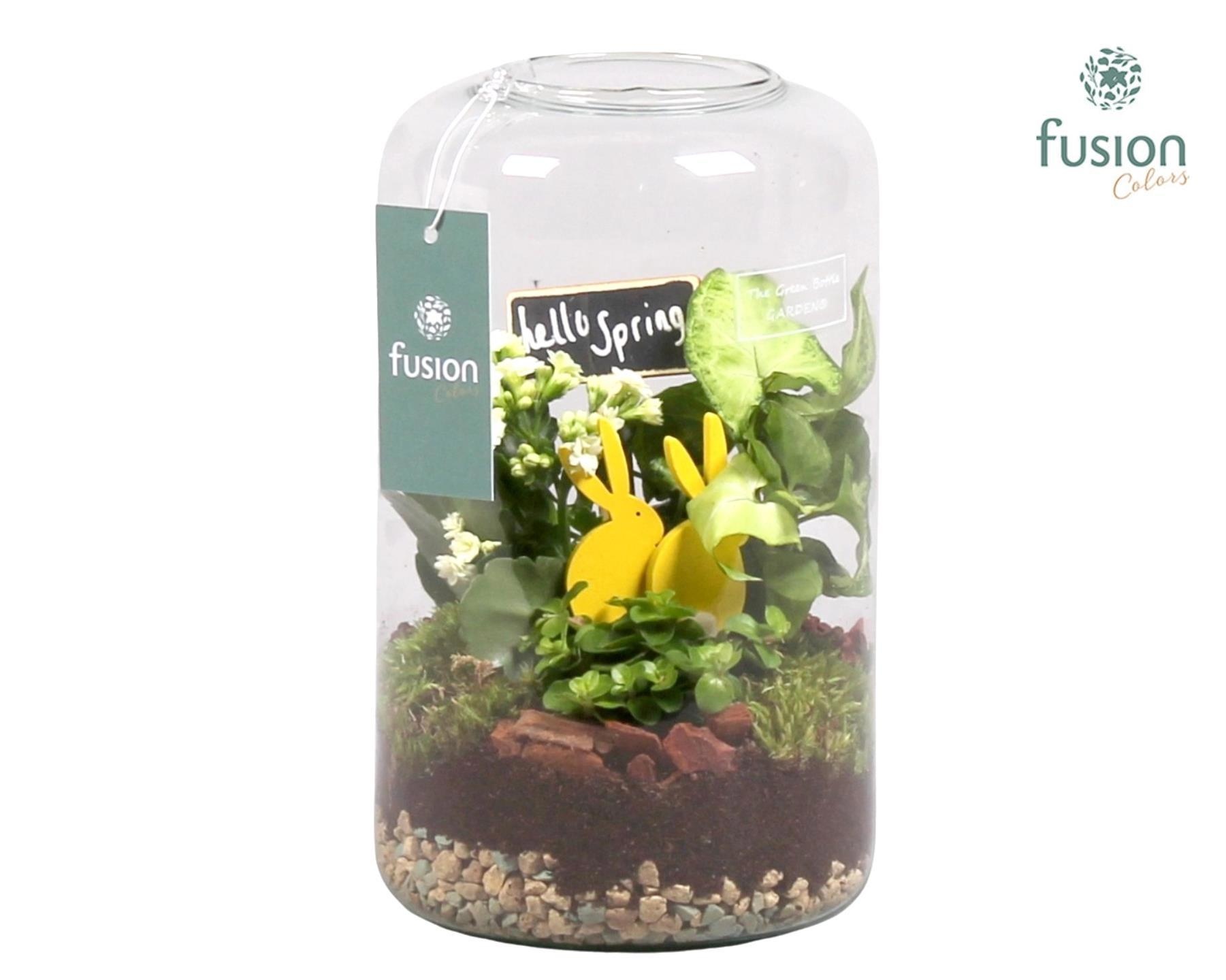 Green Bottle Isabella Medium Pasen met Arrangement, D 15