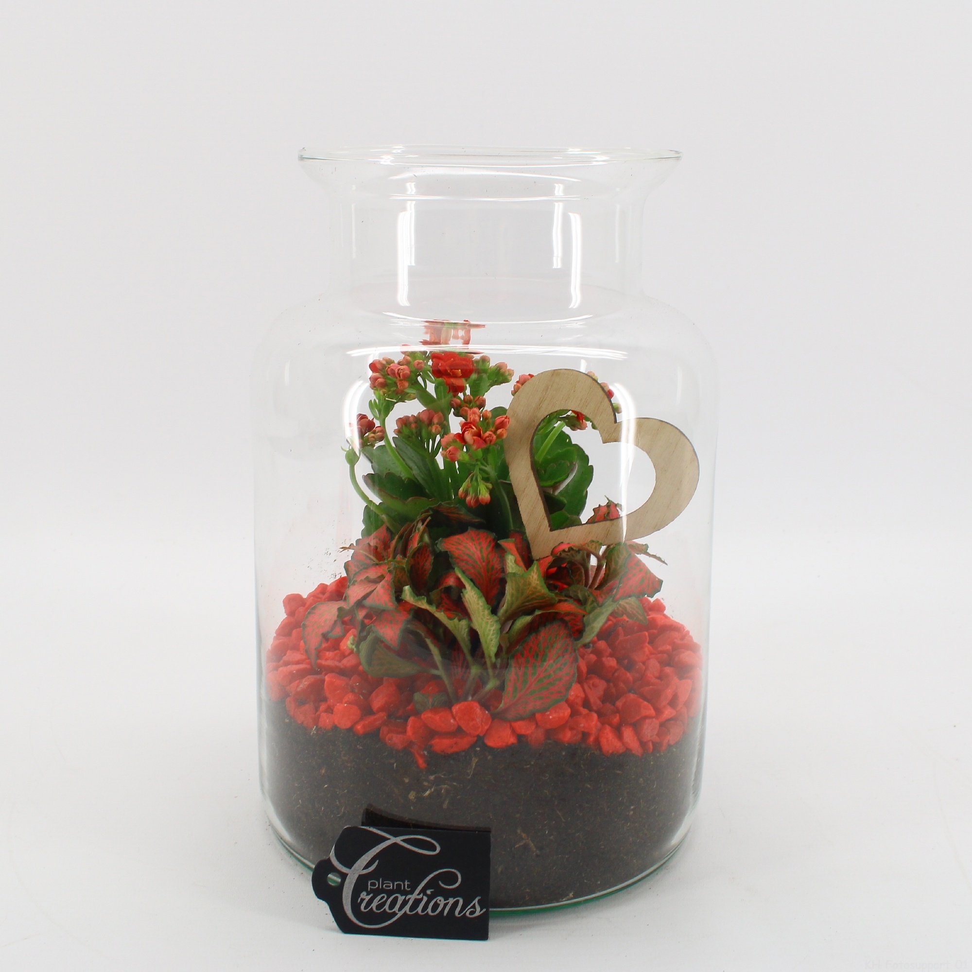 FDRM-2606R Romantic Fundamentals, D 17