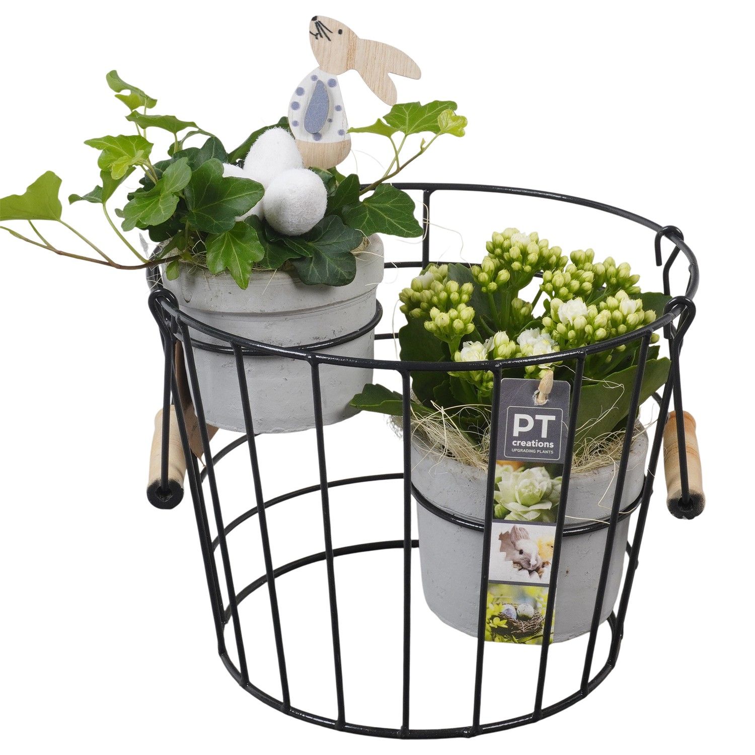 PTPB6594 Arrangement Easter in terracotta pot met metaal, D 23