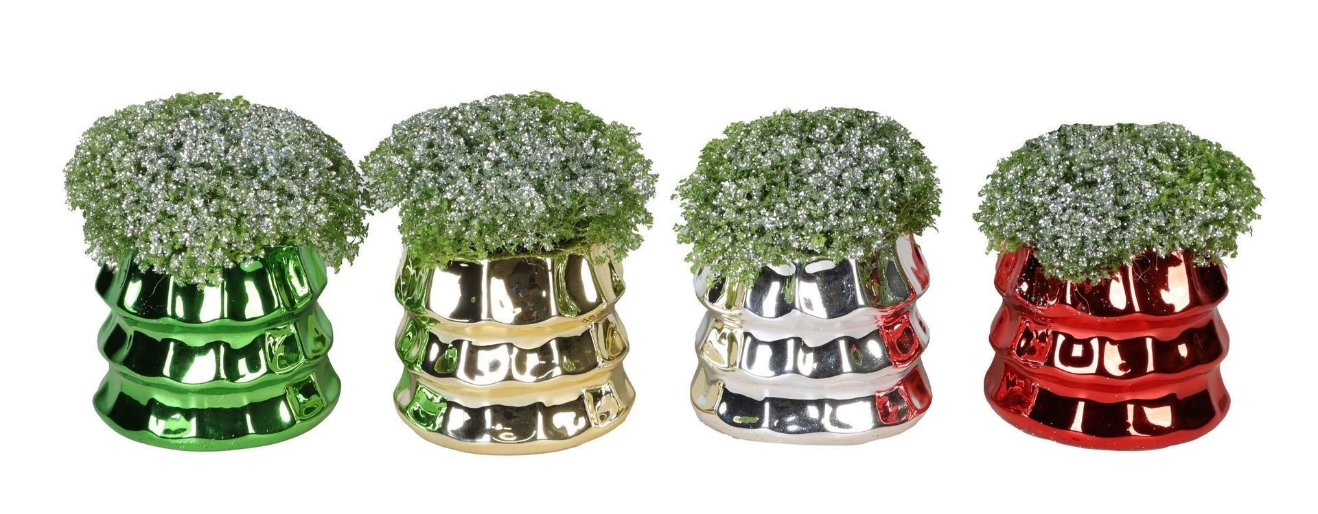 L 66439 With Selaginella Apoda Glitter 6 cm, D 6