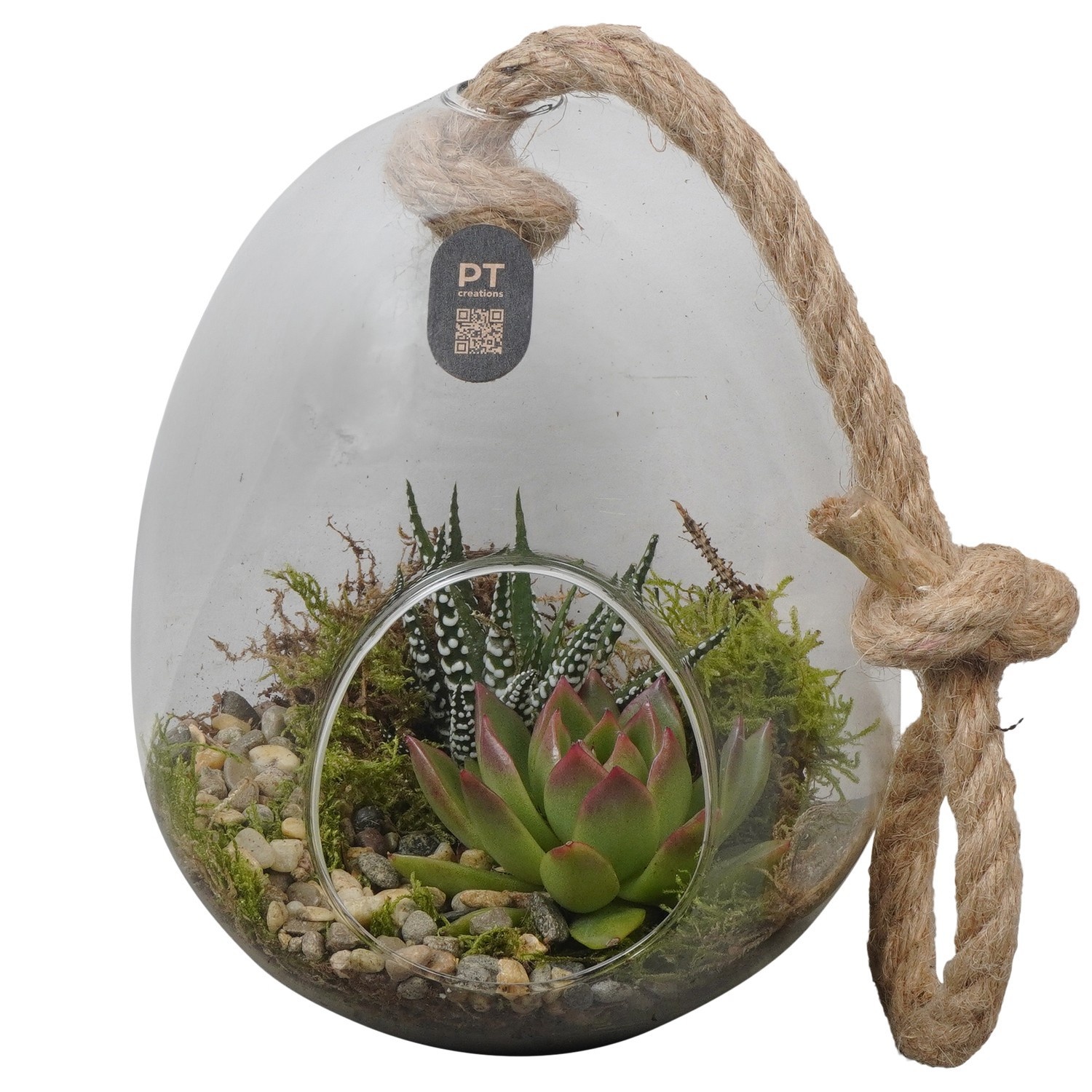 PTIG2699 Arrangement Indoor in glazen ei, D 15