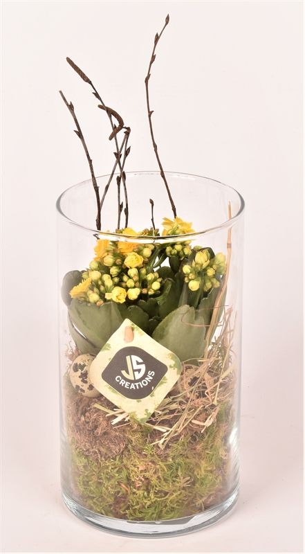 Glas cilinder 12 cm h20cm, D 11