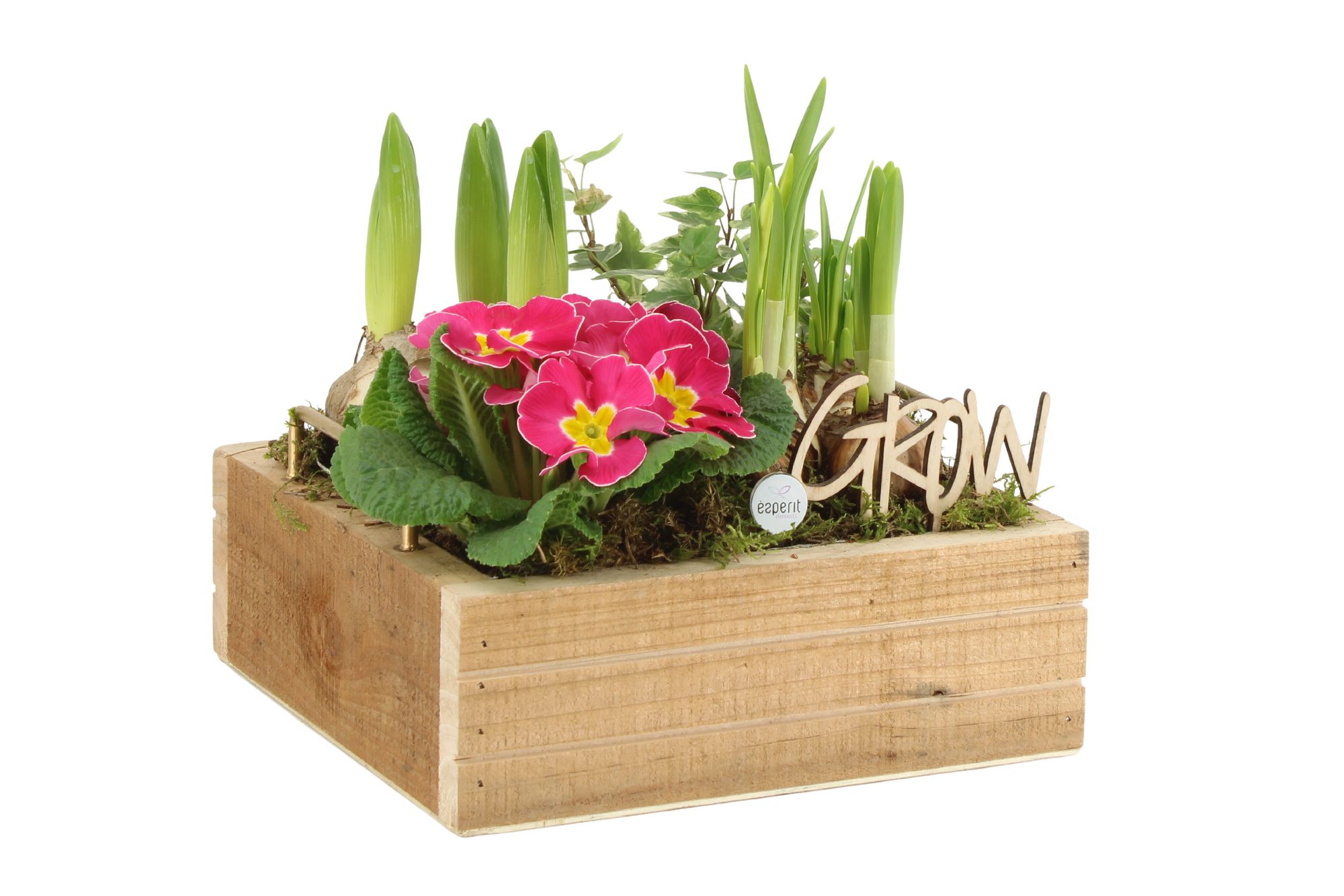 11321: Outdoor spring arrangement, D 23