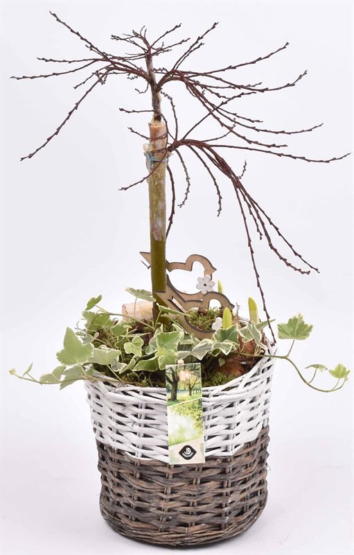 Wilg mand br/wit 20cm, D 20