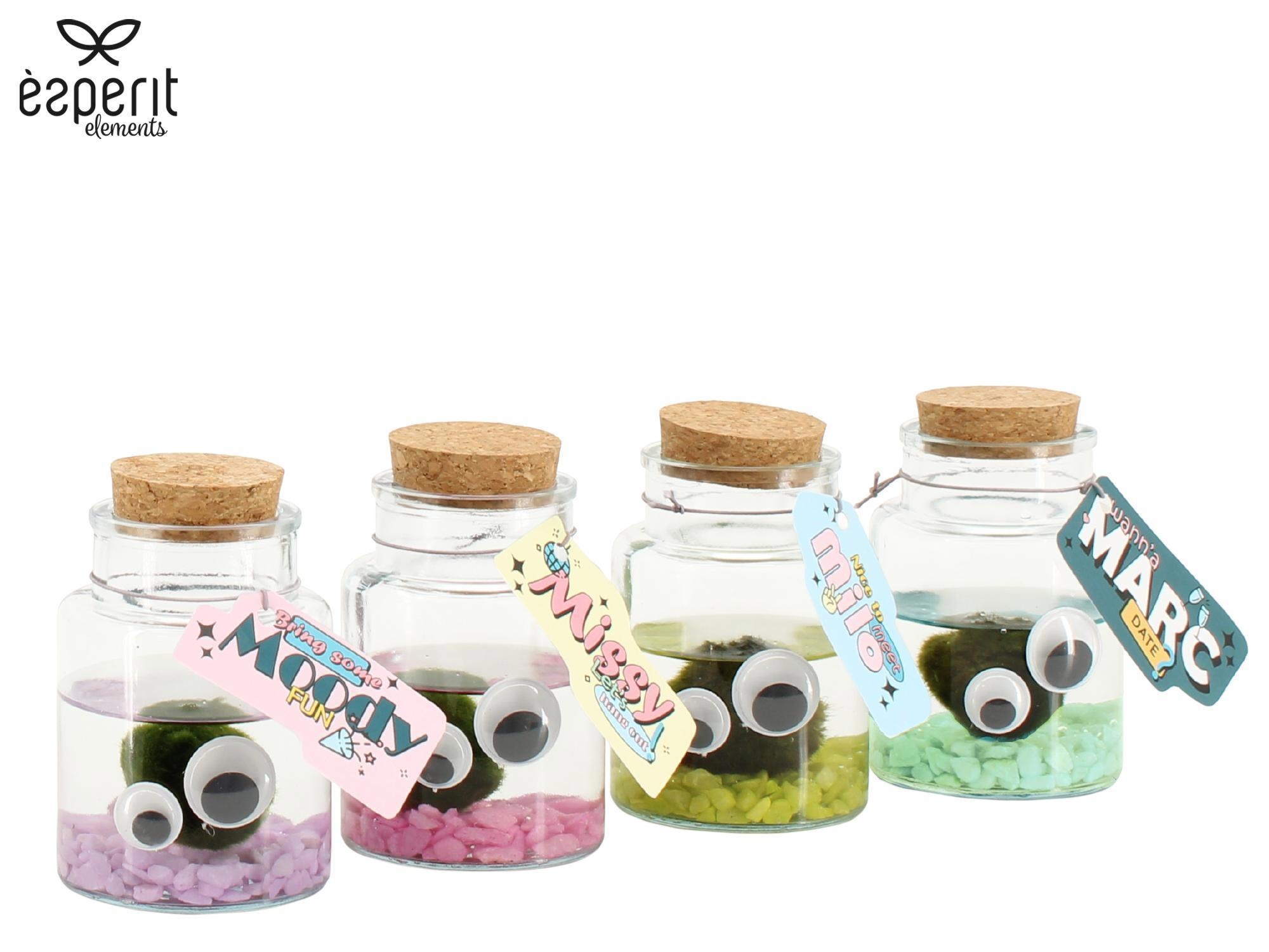 90948: Marimo arrangement, D 7