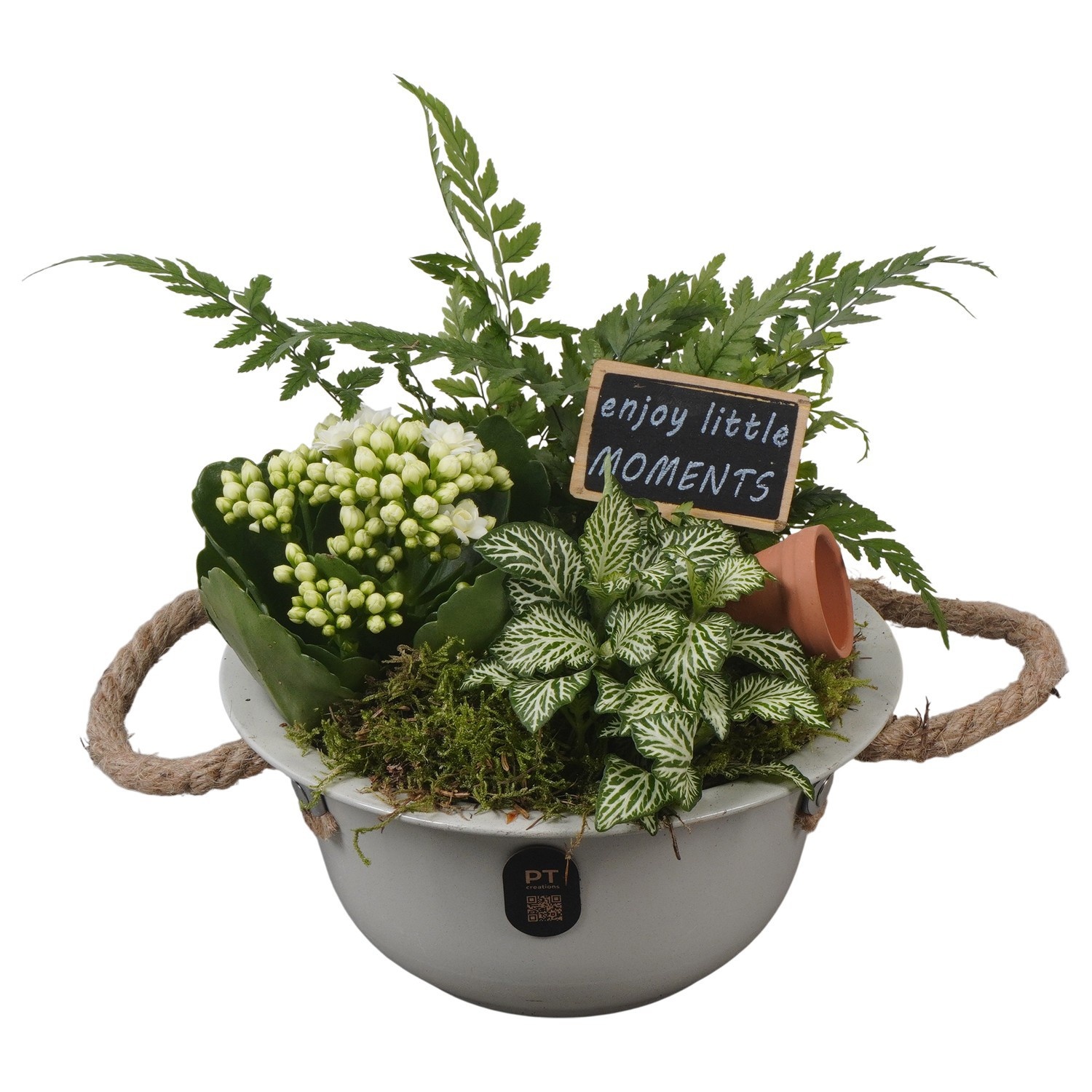 PTIB5316 Arrangement Indoor in metalen schaal, D 18