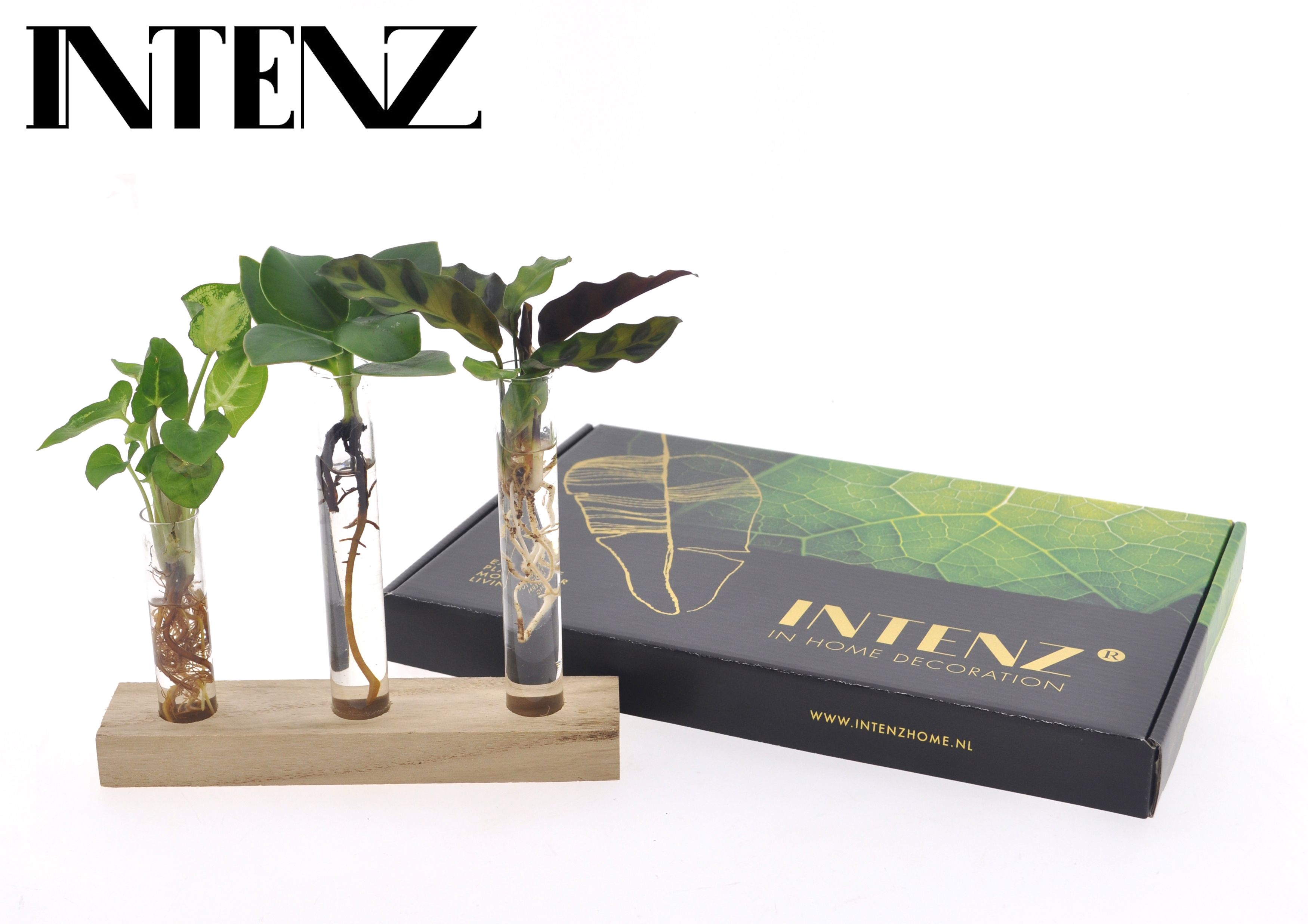 Brievenbus pakket Hydroponie - levertijd: 24 uur, D 7