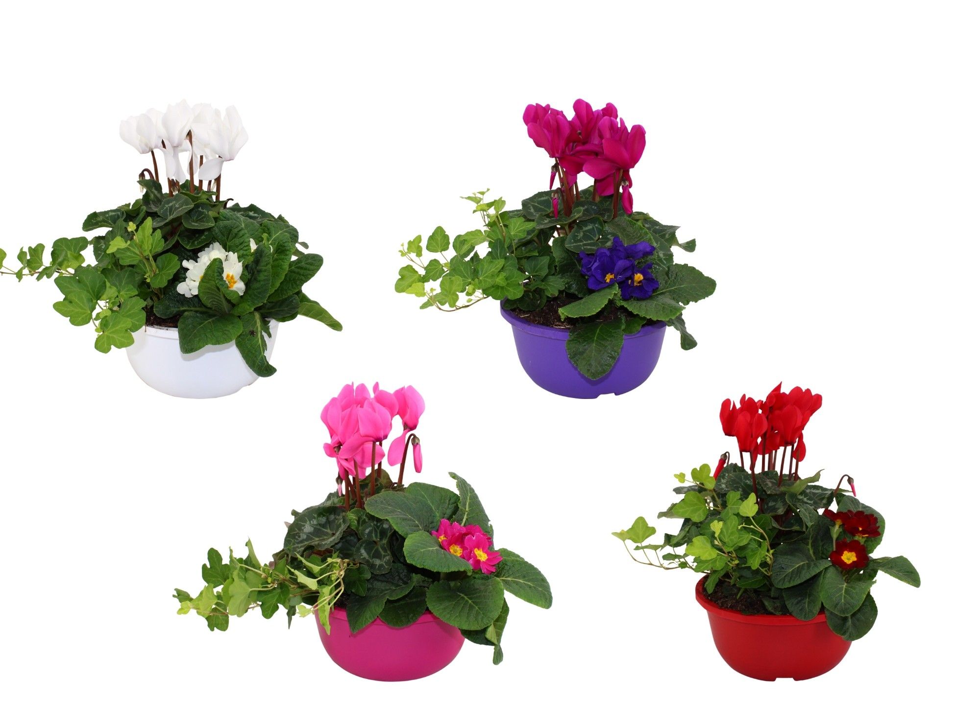 Hello Winter Trio in 19 cm schaal 'Snow', D 19