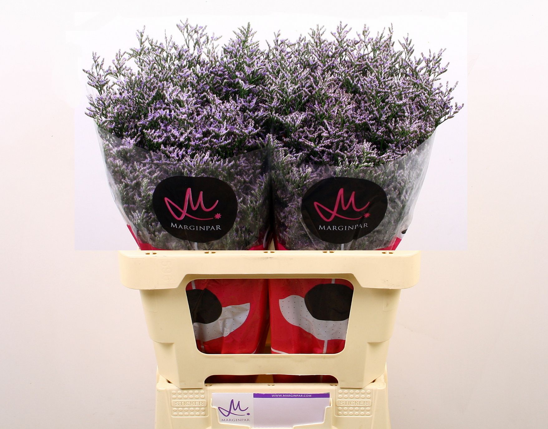 Лимониум Скайлайт 60 (фиолет.), шт.