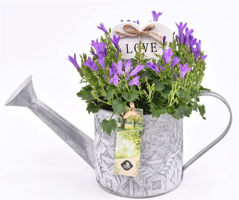 Zink gieter mix grijs 11cm, D 11