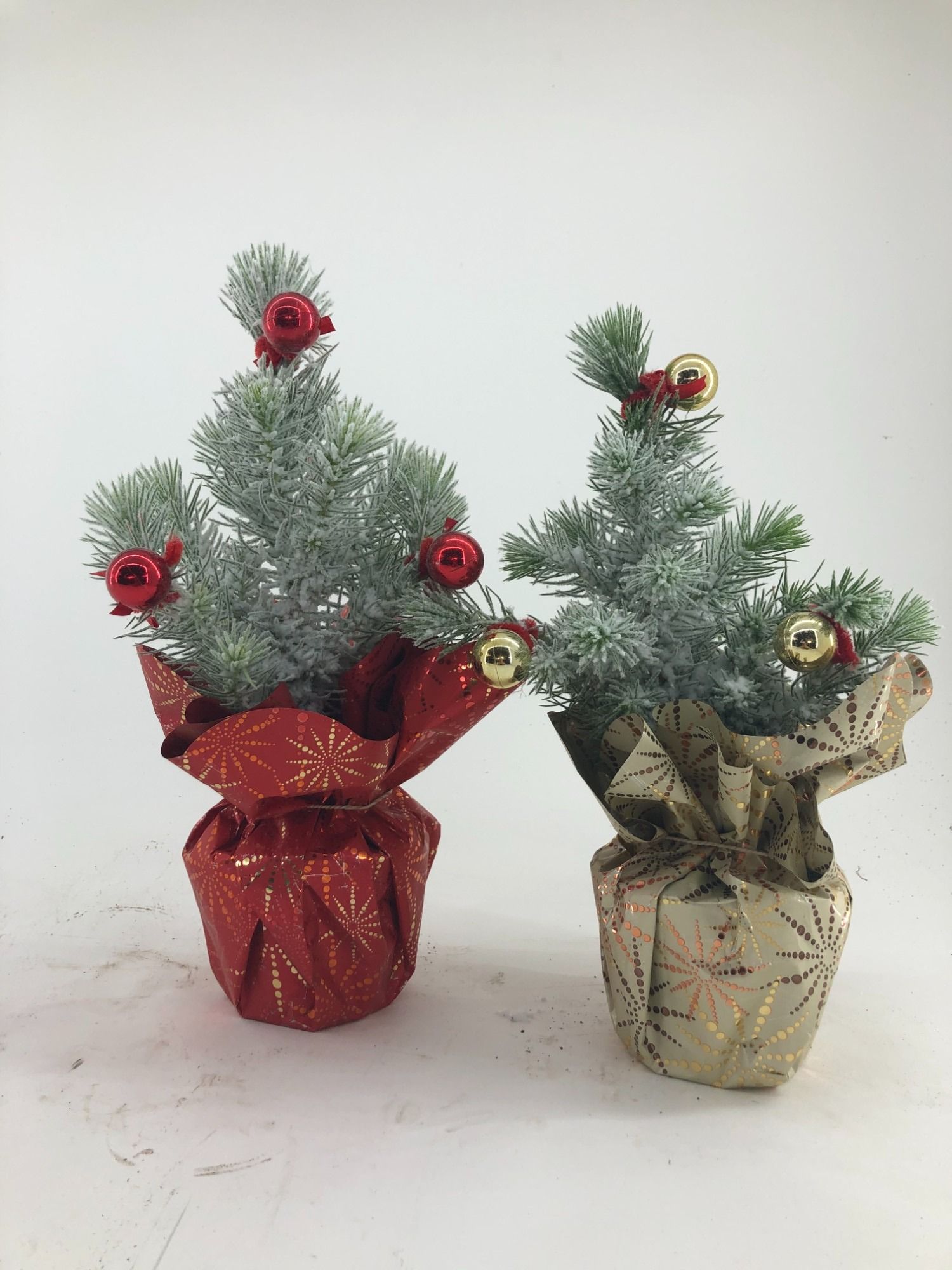 TDM P10.5 : 25ELL13 Pinus P10,5 Ballon Snow, D 10,5