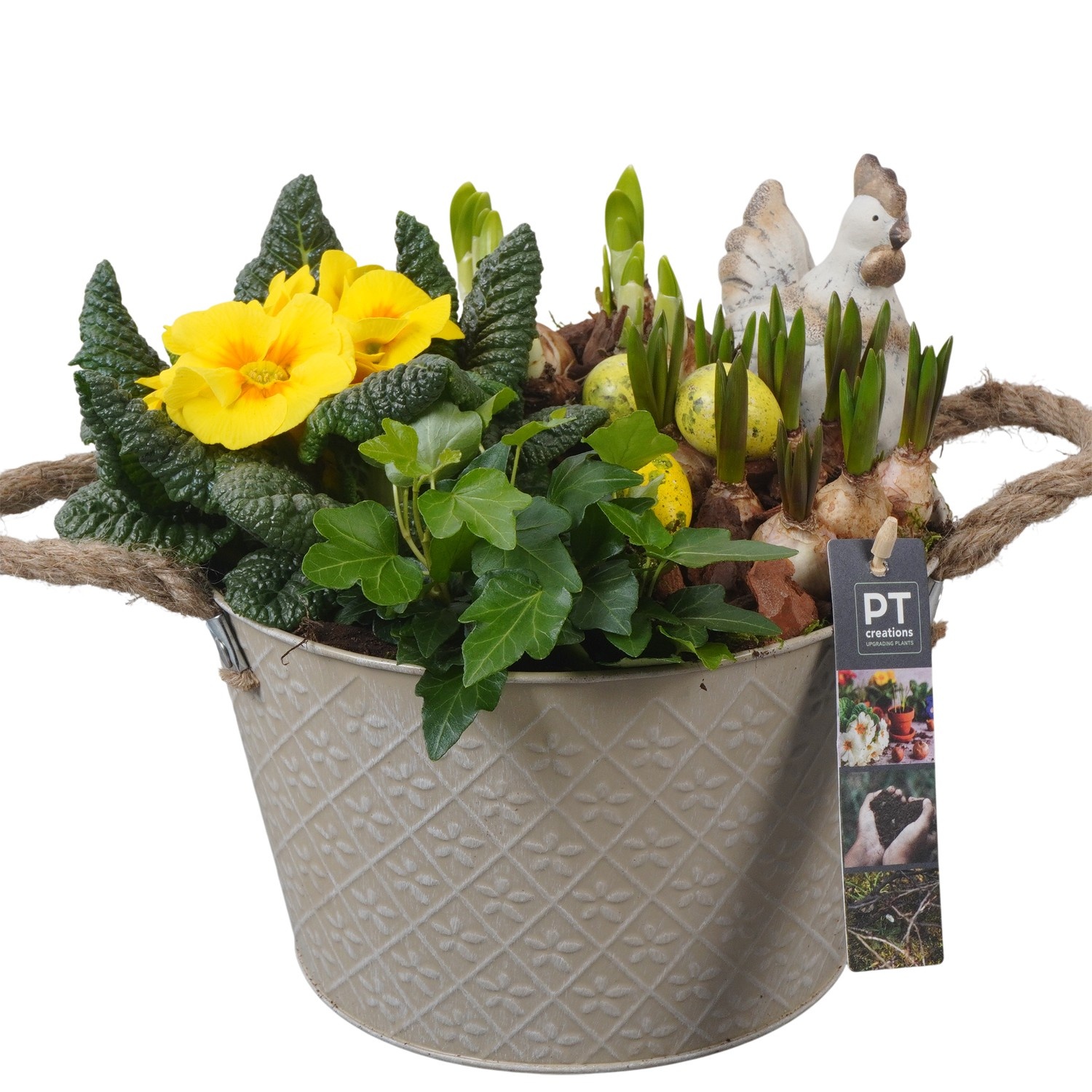 PTBMP5646 Arrangement Easter Bulbs Mix in zink pot, D 21