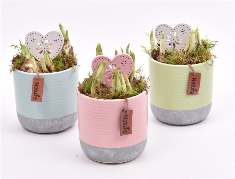 Keramiek pot kl. mix met label 10cm, D 10