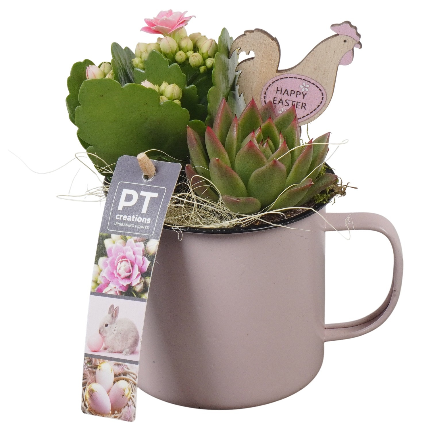 PTPB6438 Arrangement Easter in zink pot, D 10
