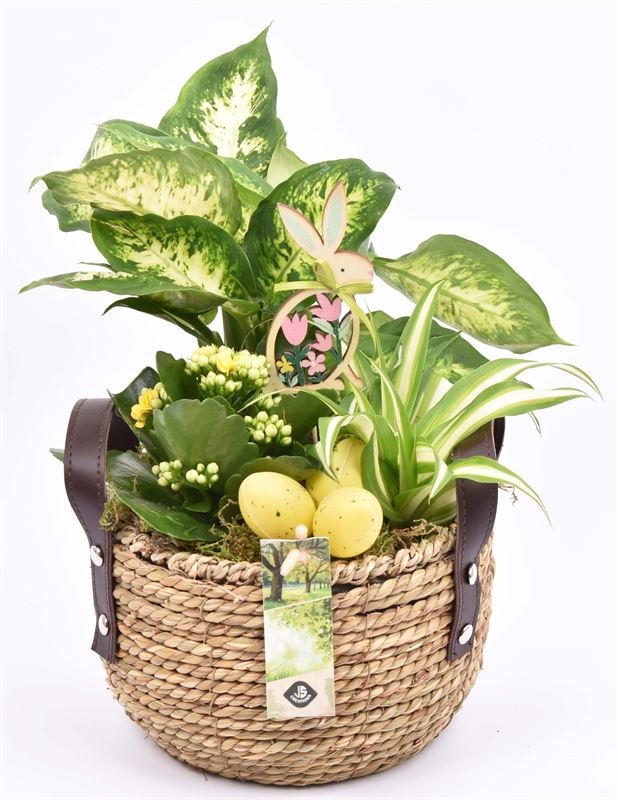 Touwmand met leer handv.18-20cm, D 20