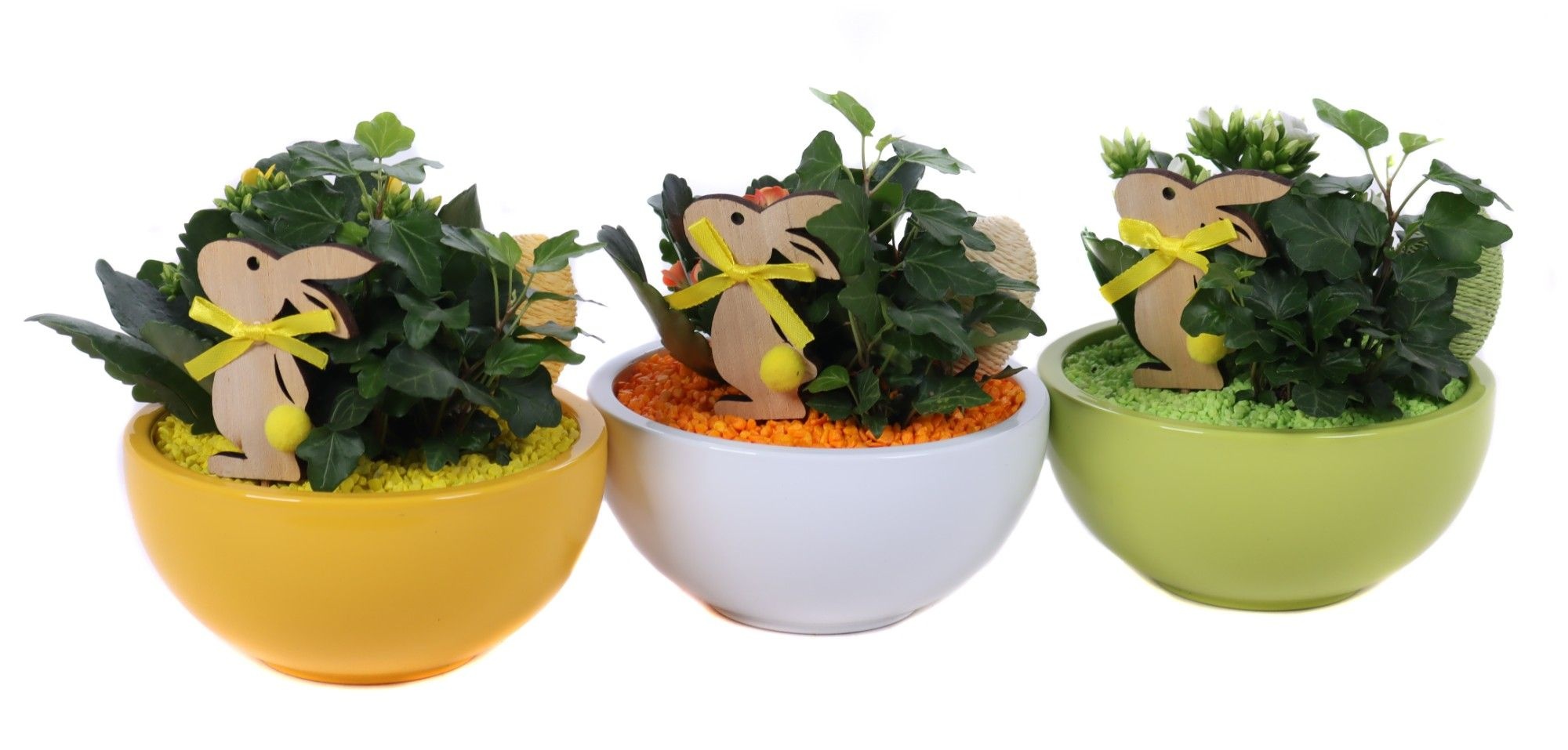 Opgemaakte paasschalen met hedera, kalanchoe en bijsteker, D 15