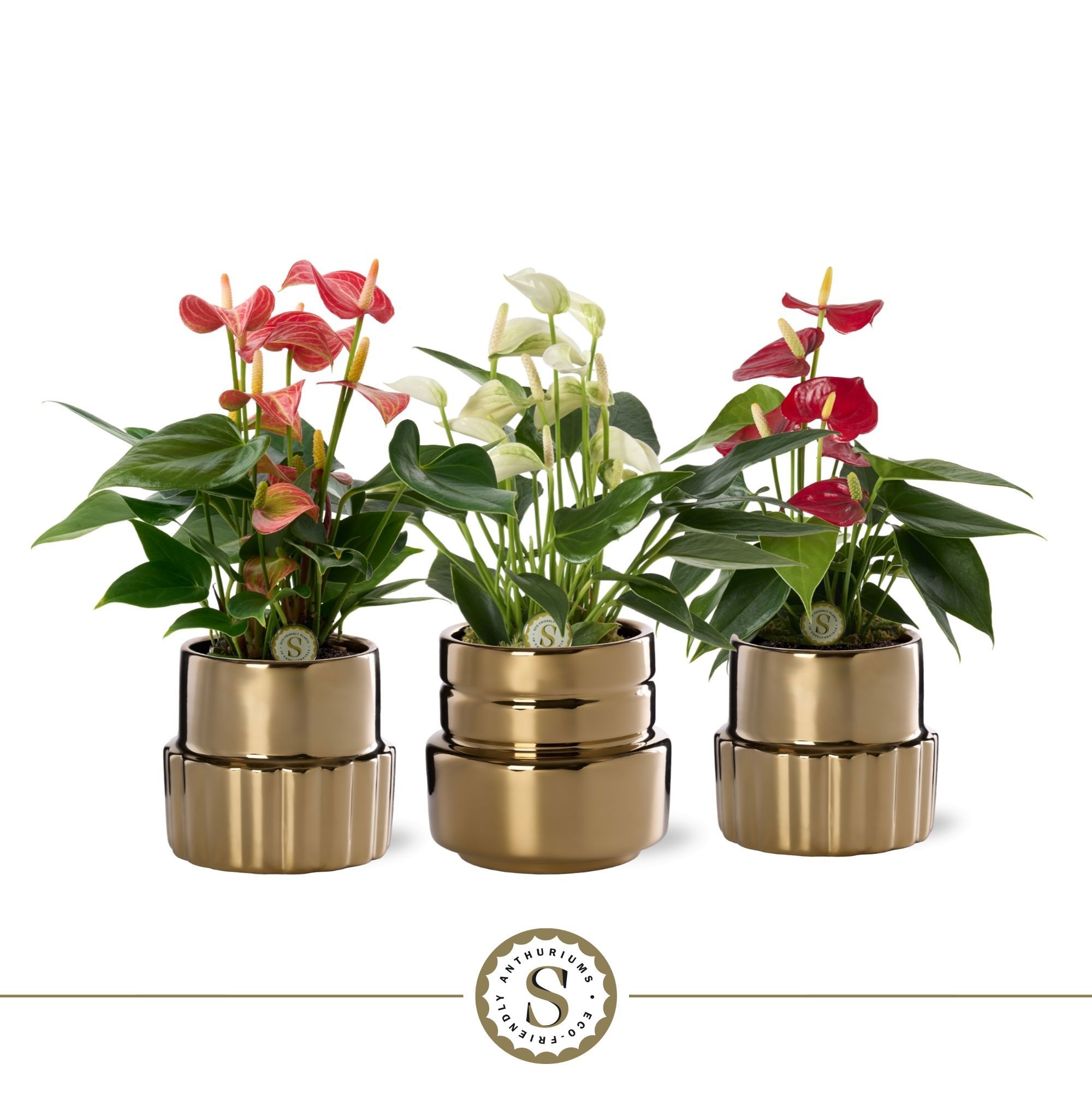 Oslo Gold Keramiek 9cm Mix, D 9