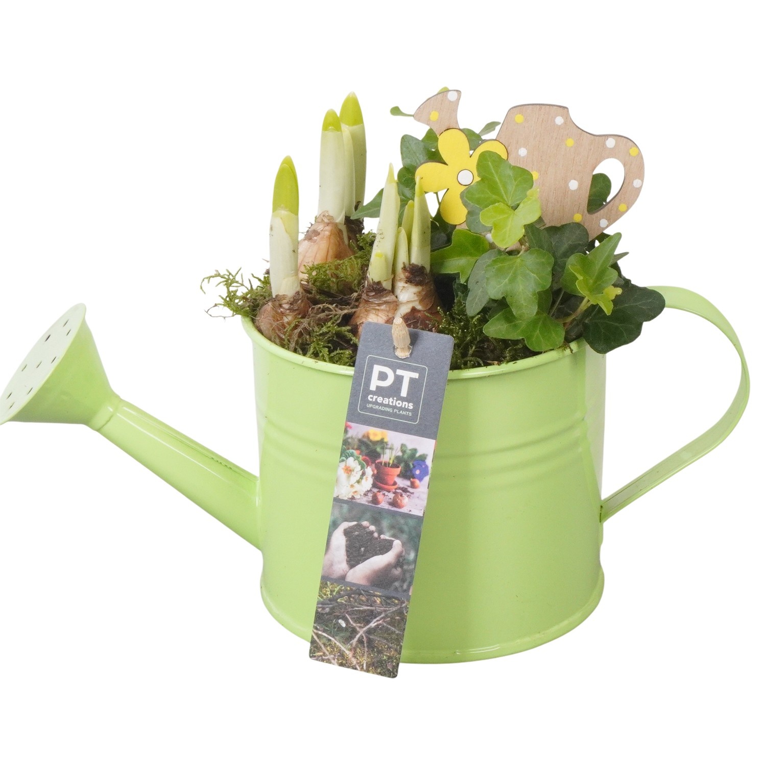 PTBM3745 Arrangement Flower Bulbs Mix in metalen gieter, D 12