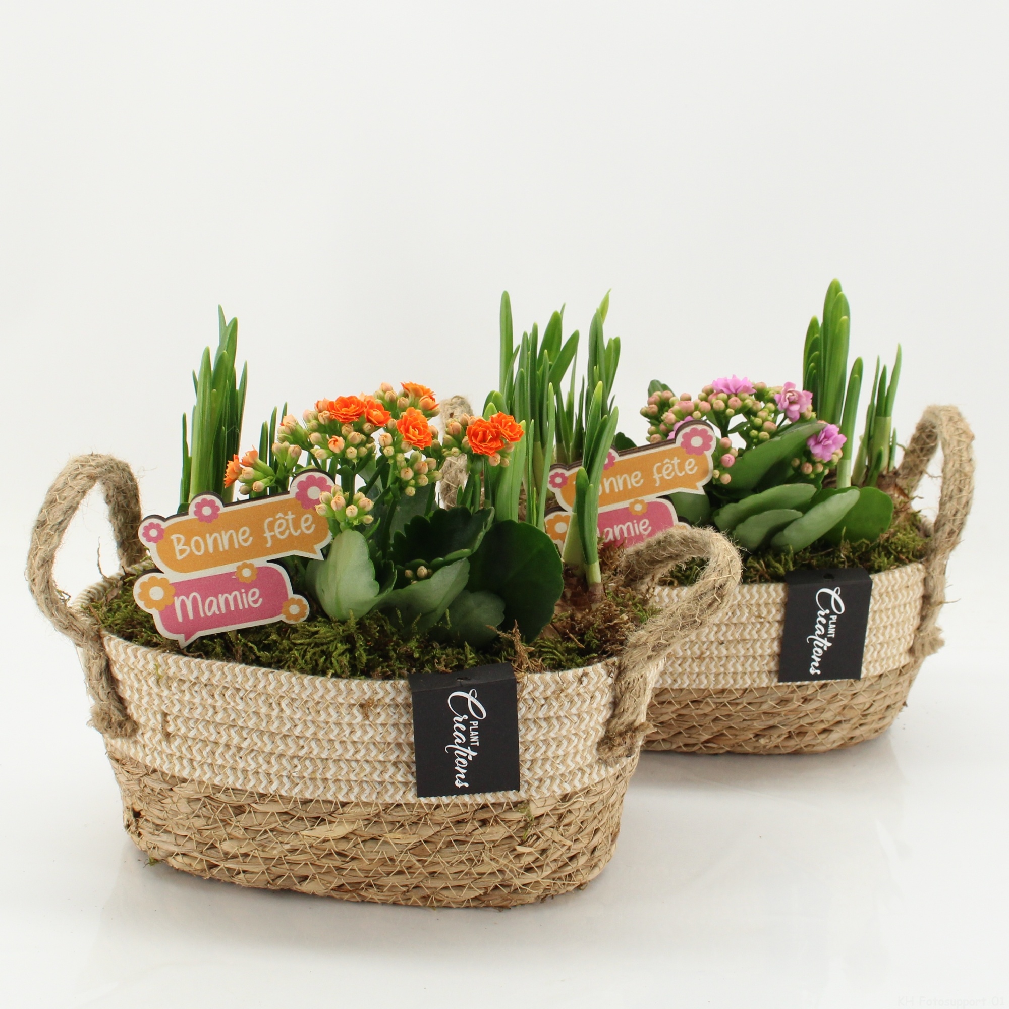 FGCR-2611 Fête des grands-mères, D 24