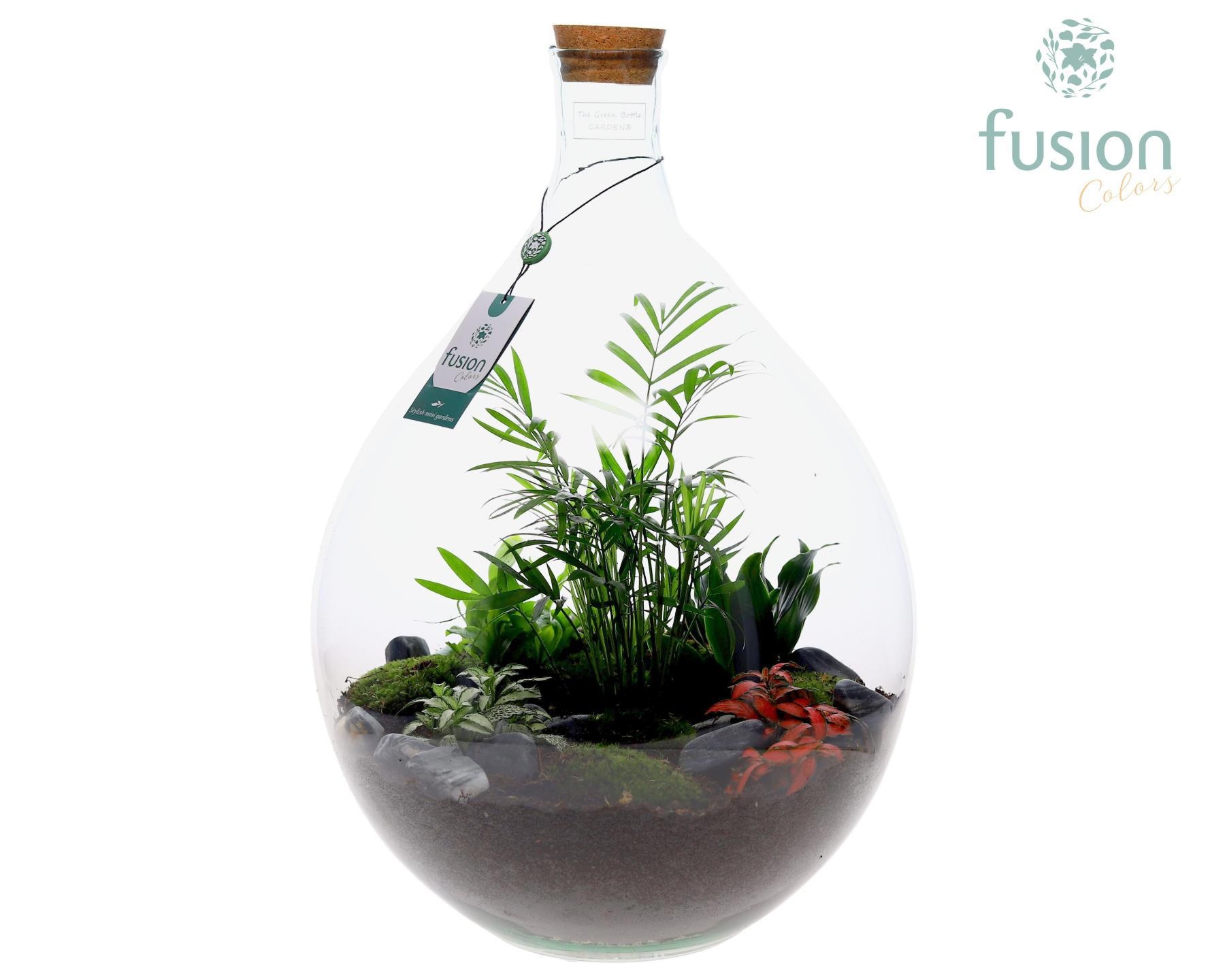 Green Bottle Gallon met Arrangement, D 35