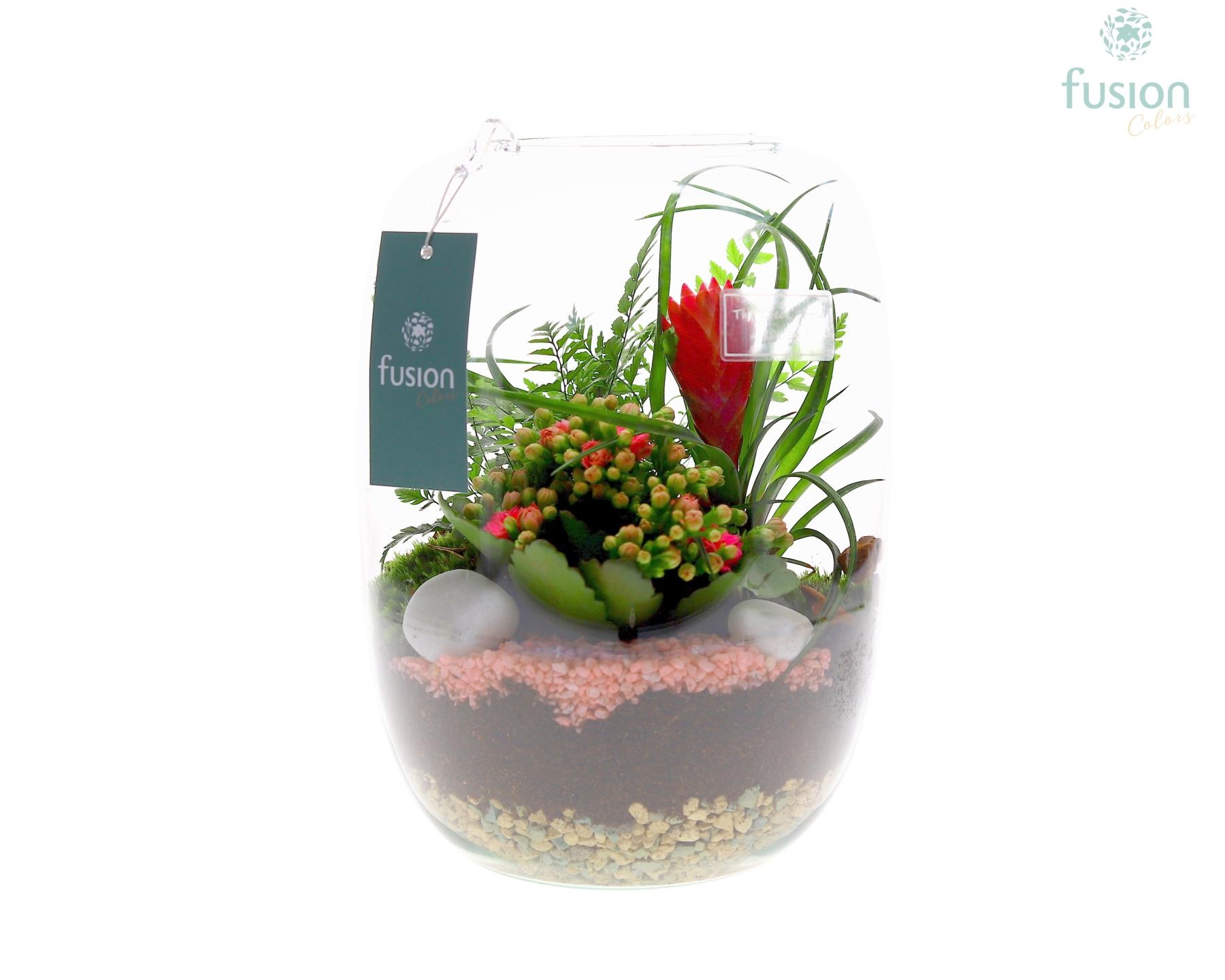 Green Bottle Isabella Large met arrangement, D 19