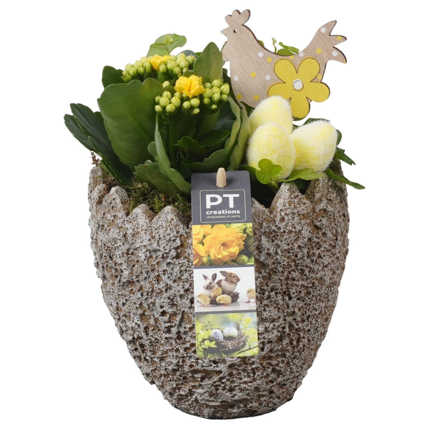 PTPB6603 Arrangement Easter in beton ei, D 14