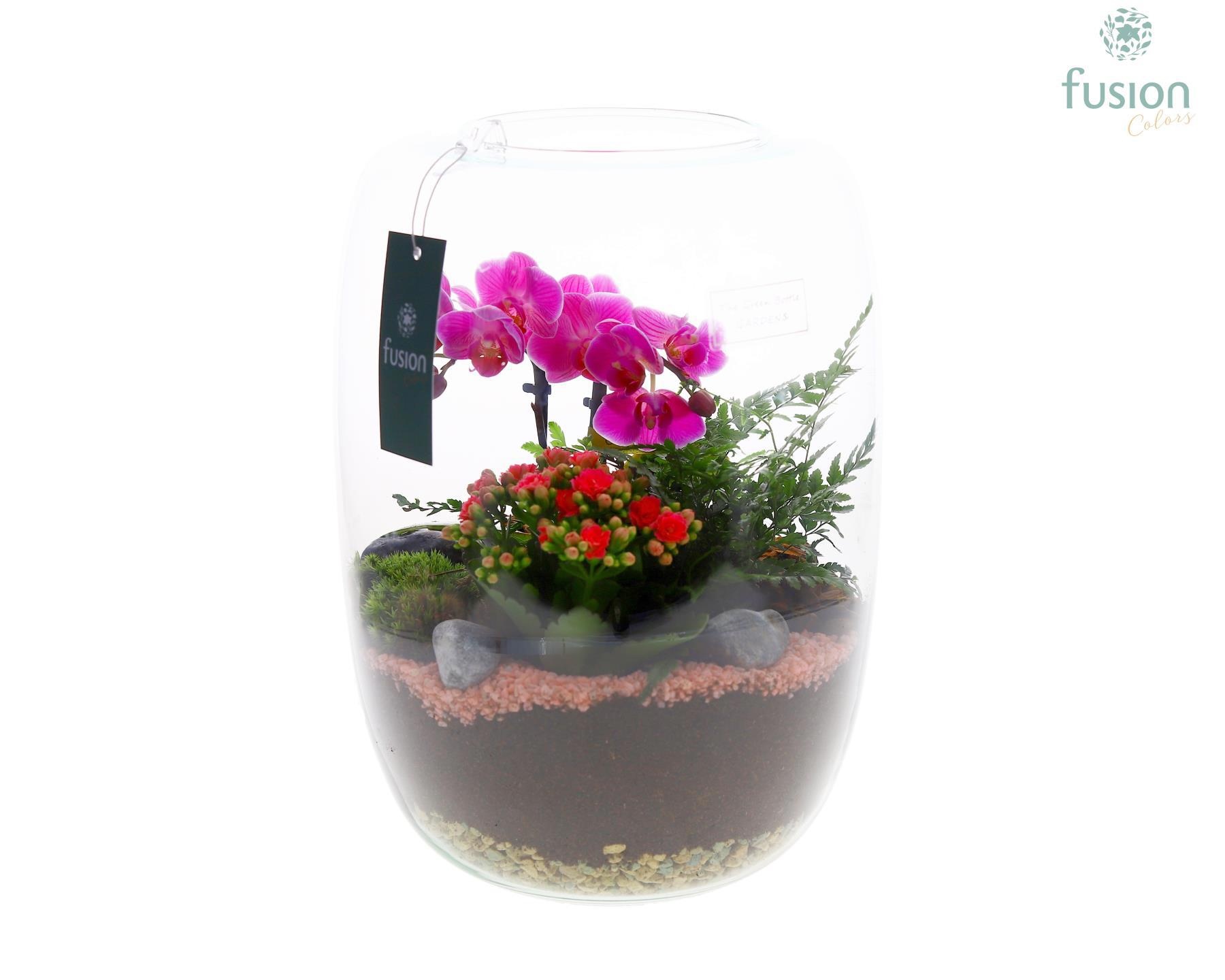 Green Bottle Isabella XLarge FC22.0908, D 23