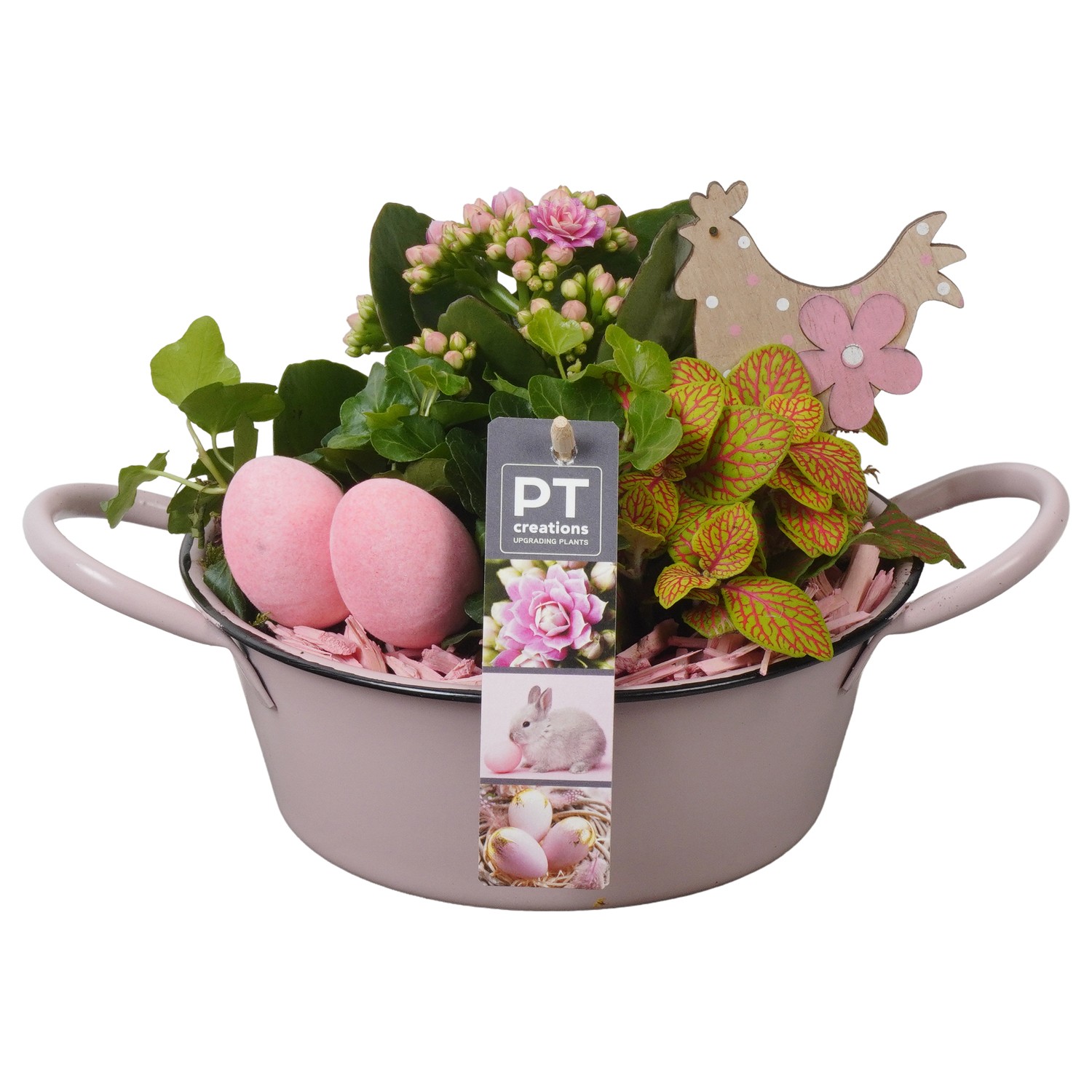 PTPB6421 Arrangement Easter in zink schaal, D 19