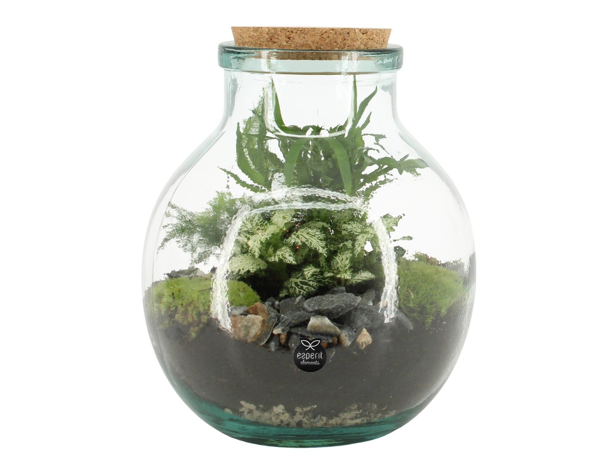 90076: Terrarium arrangement, D 21