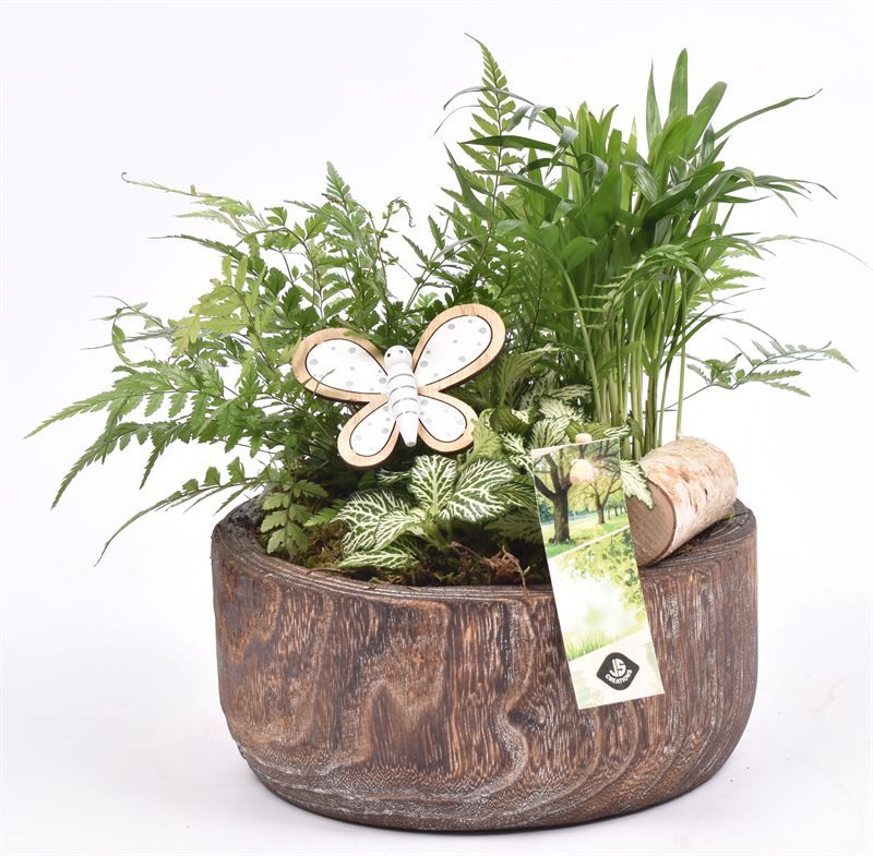 Hout schaal br. 19cm, D 19