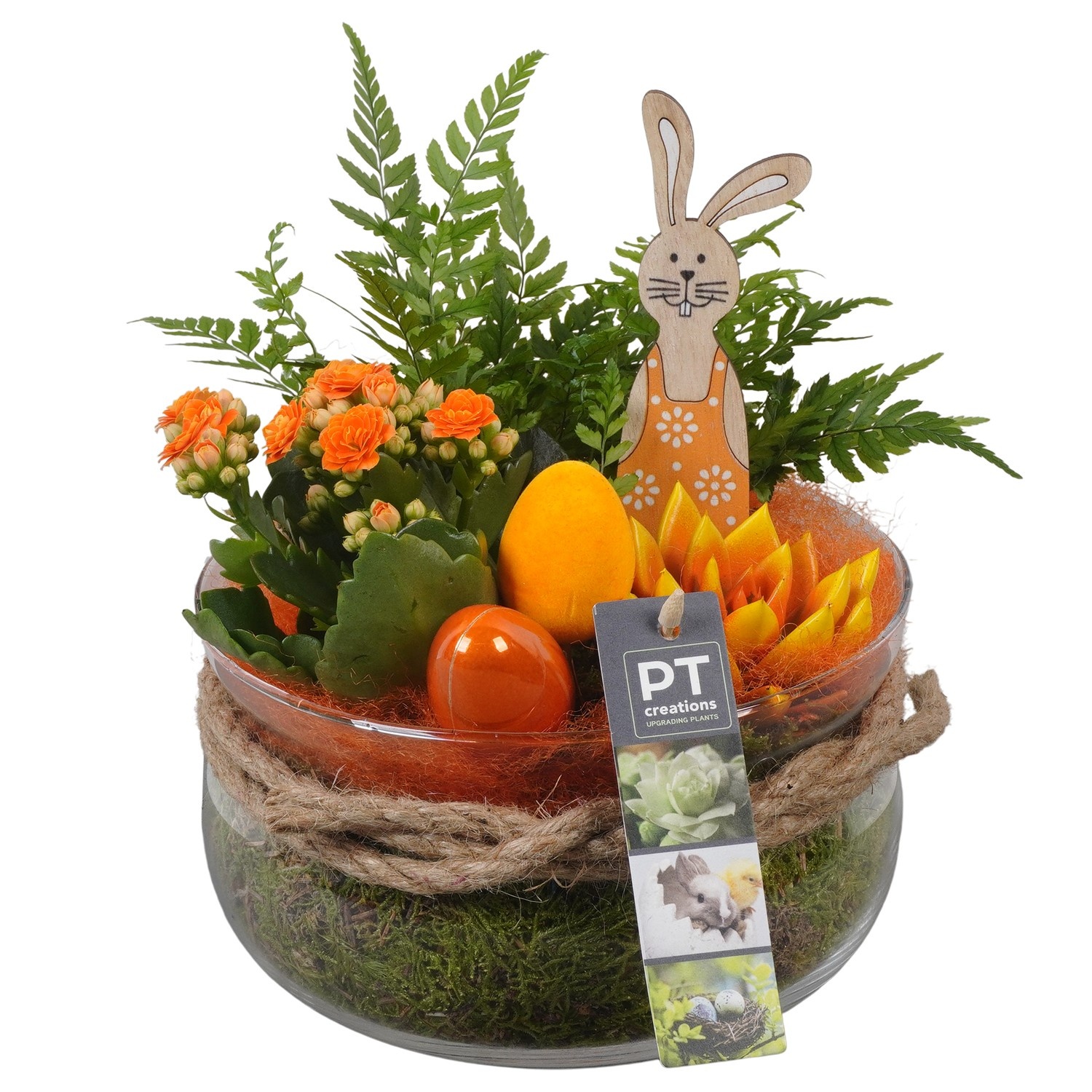 PTPG9305 Arrangement Easter in glasschaal, D 19
