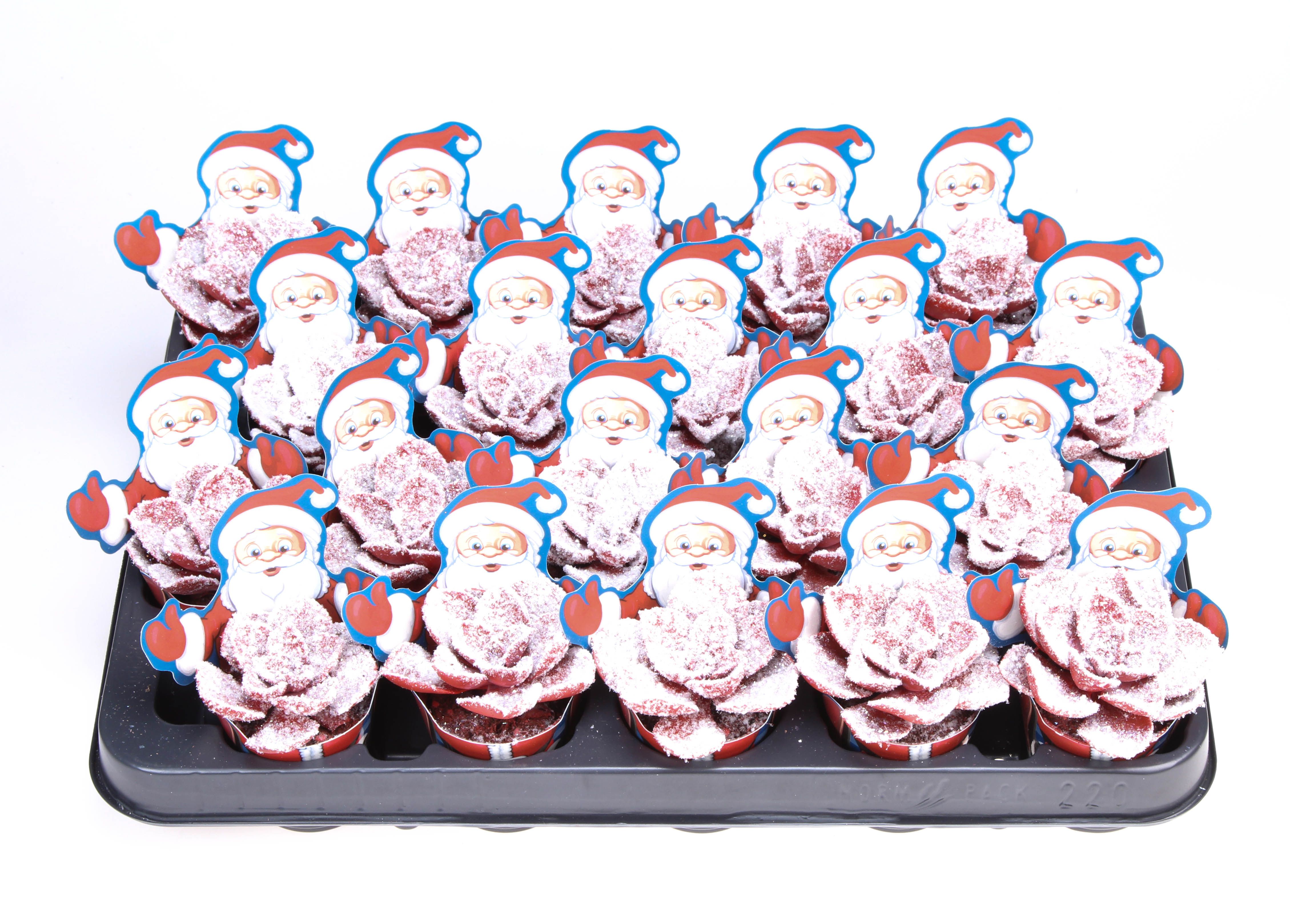 Potcover santaclaus parel snowy + bio snow, D 5,5