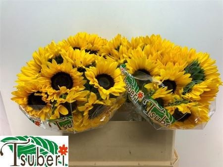 Гелиантус Оранж Фае 75 (оранж.), шт.