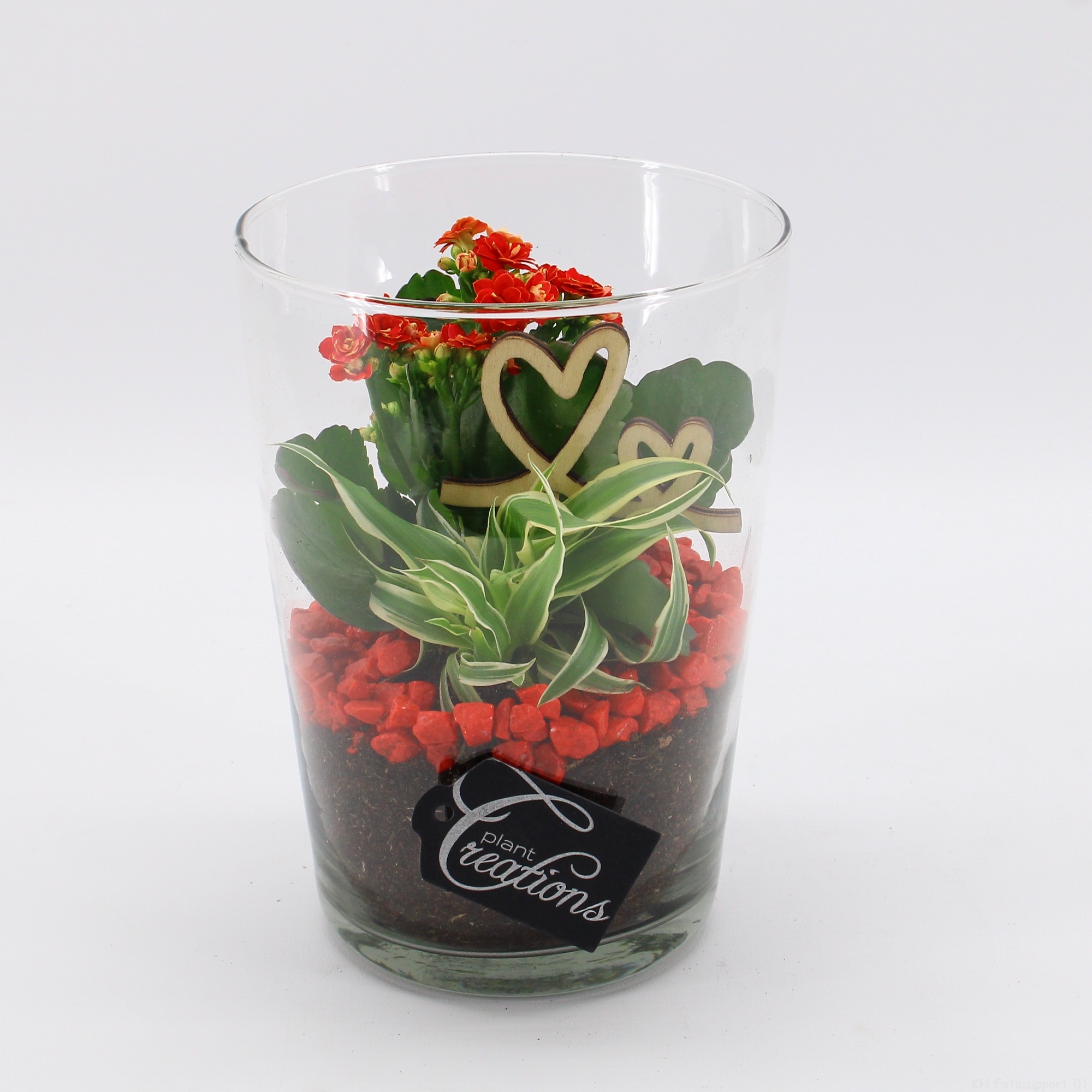 RMCR-2621R Romantic Essentials, D 14