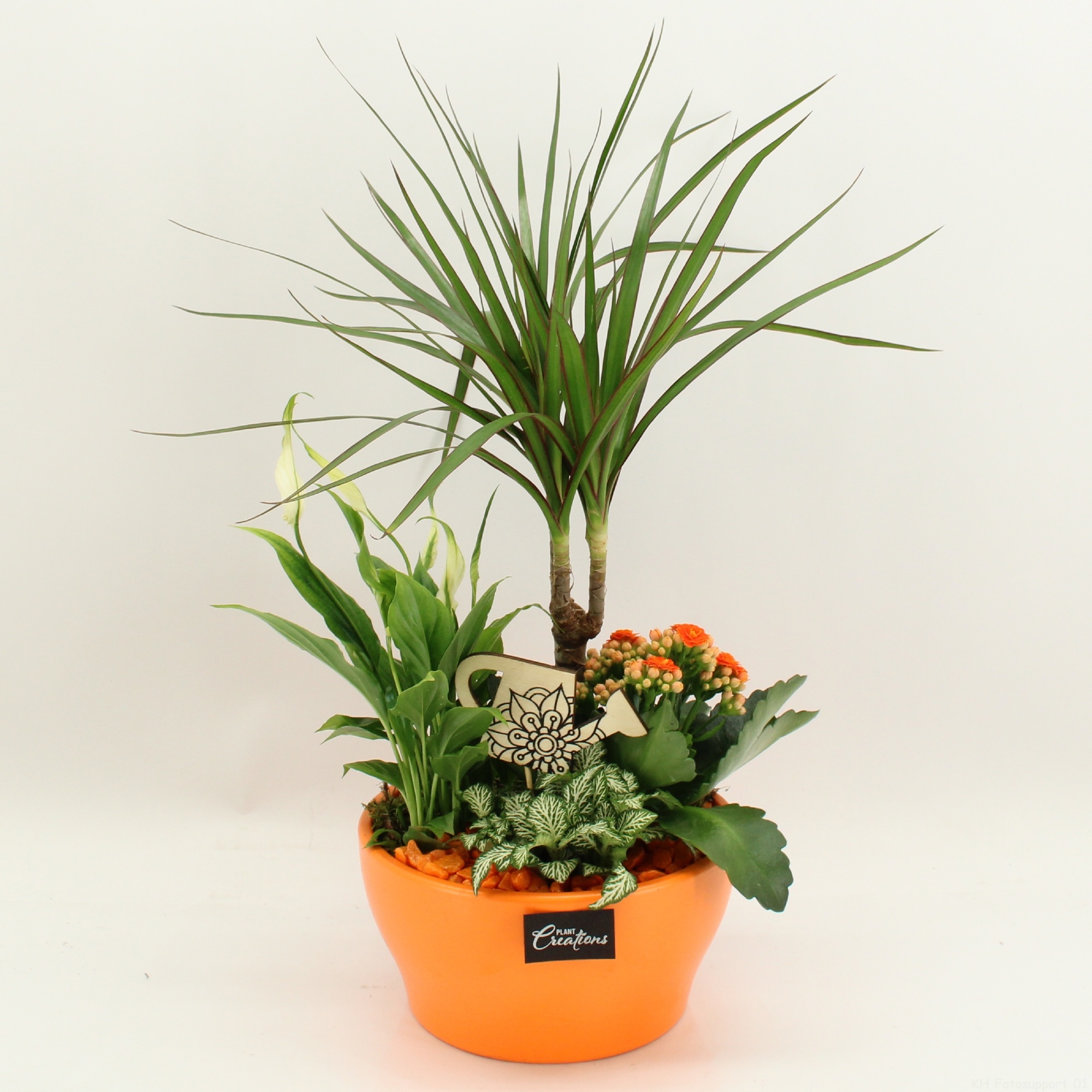 FDCR-2609OR Basic Fundamentals, D 19